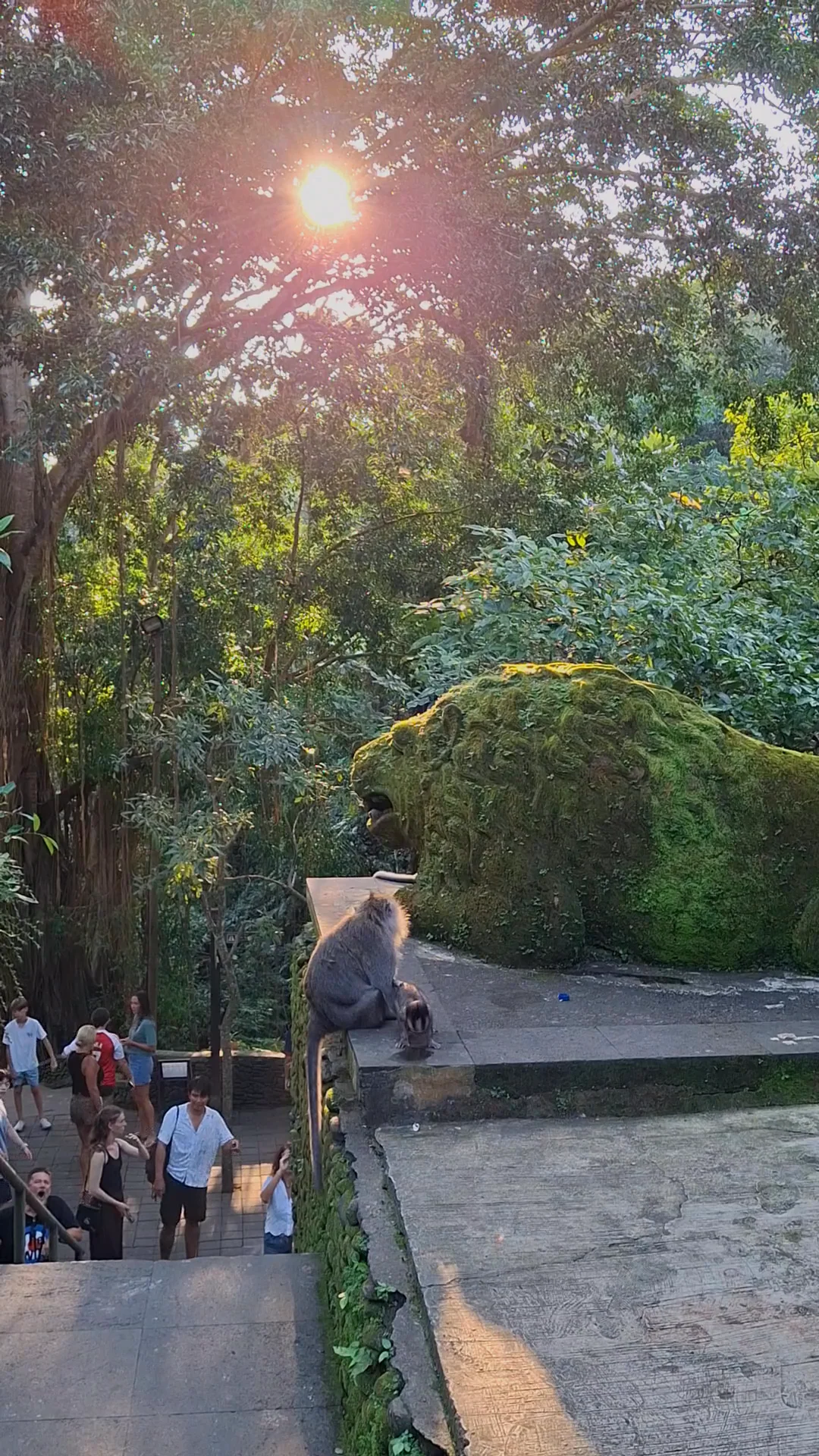 Video 10 · Linda · Bali 360°: Ubud, arrozales de Jatiluwih y templos de la isla de los dioses