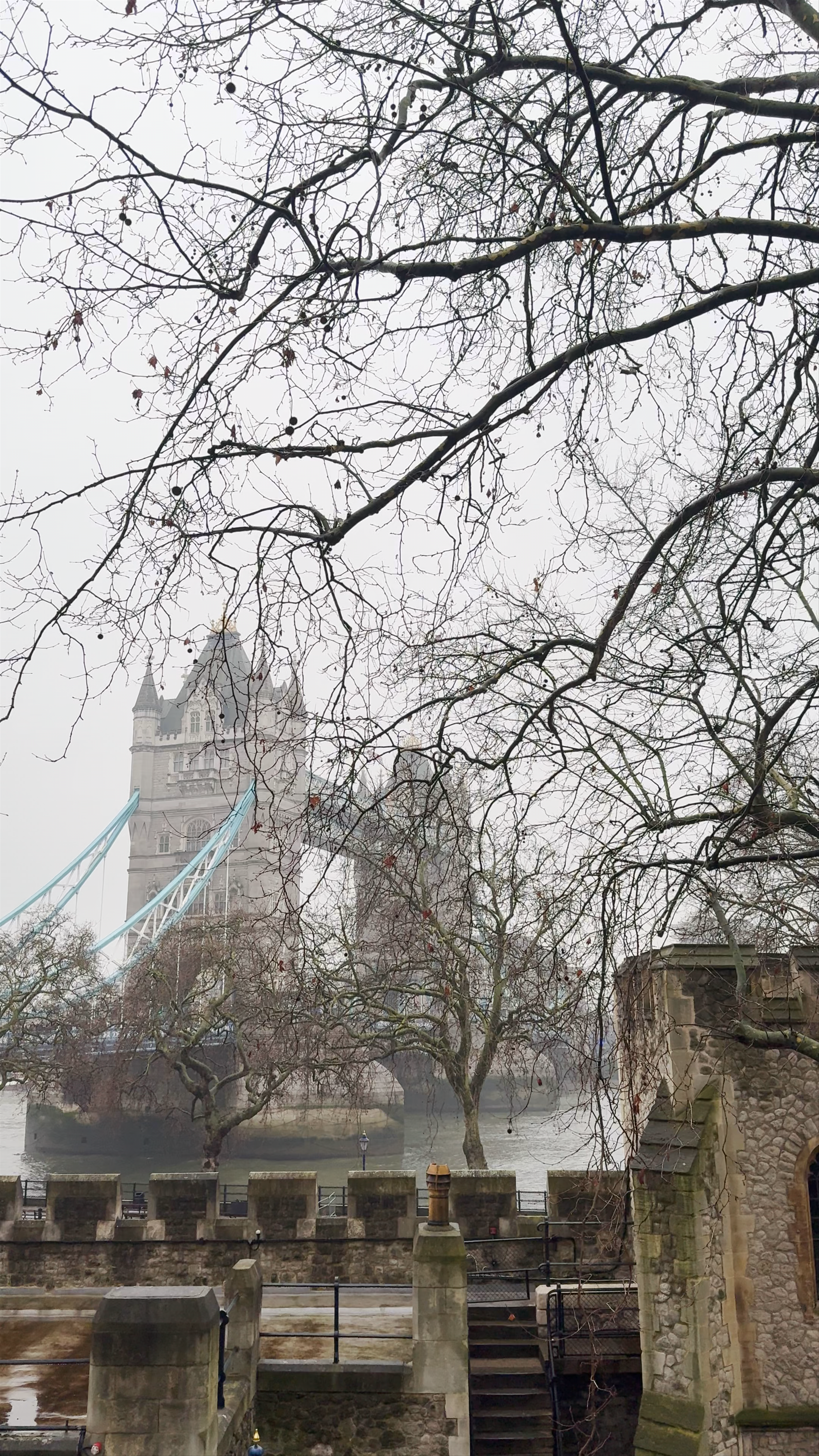 Misty Winter Walk Near Tower Bridge, London