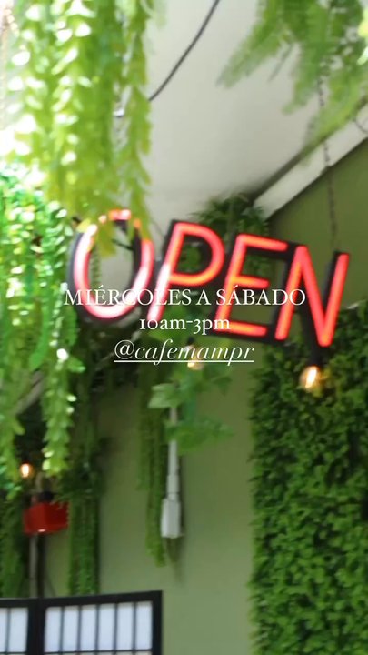 Cafe MAM - A taste of MaM - Vegetarian Near Me - Isla Verde, Puerto Rico
