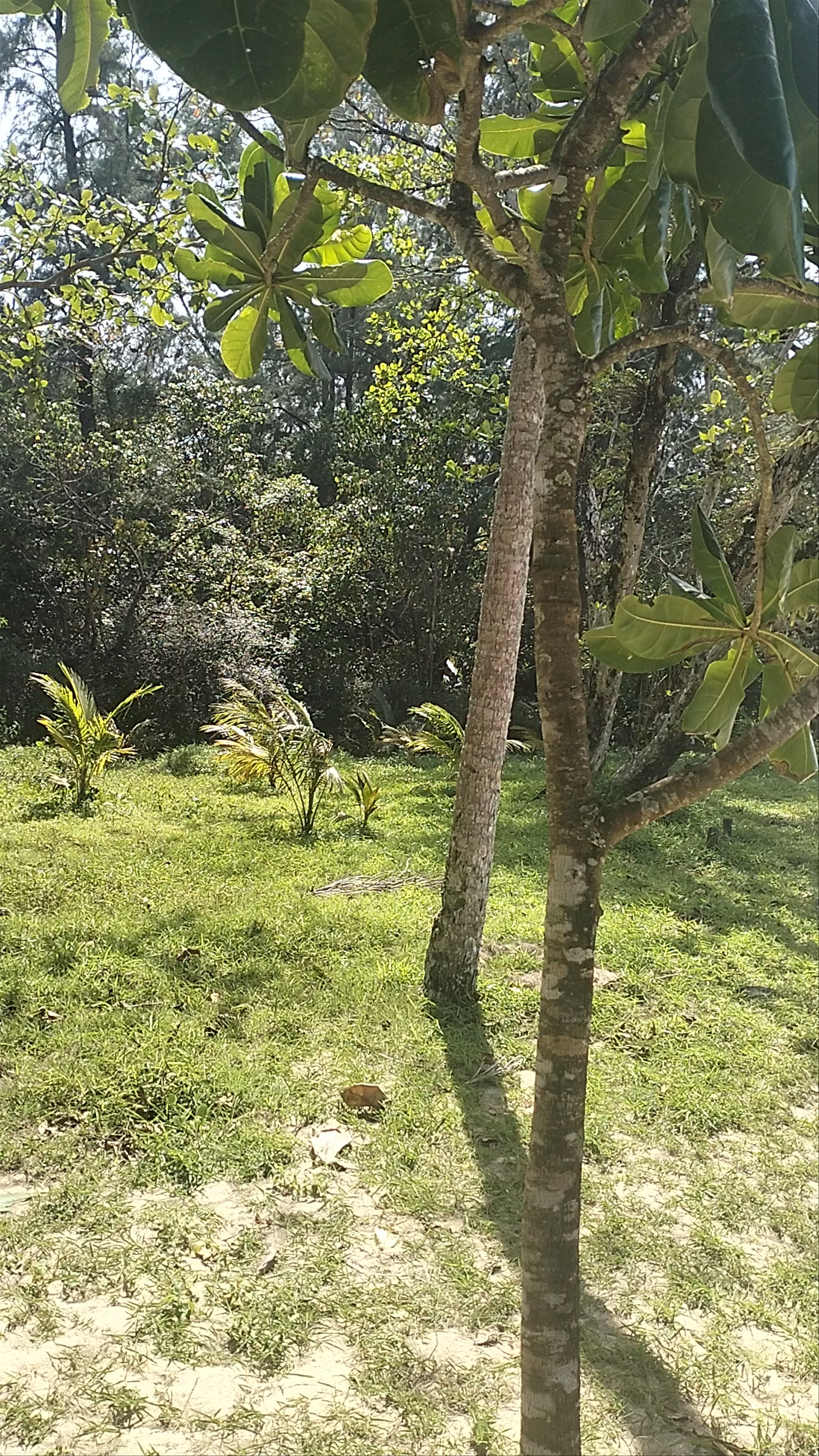 White Sand Beach Khao Lak