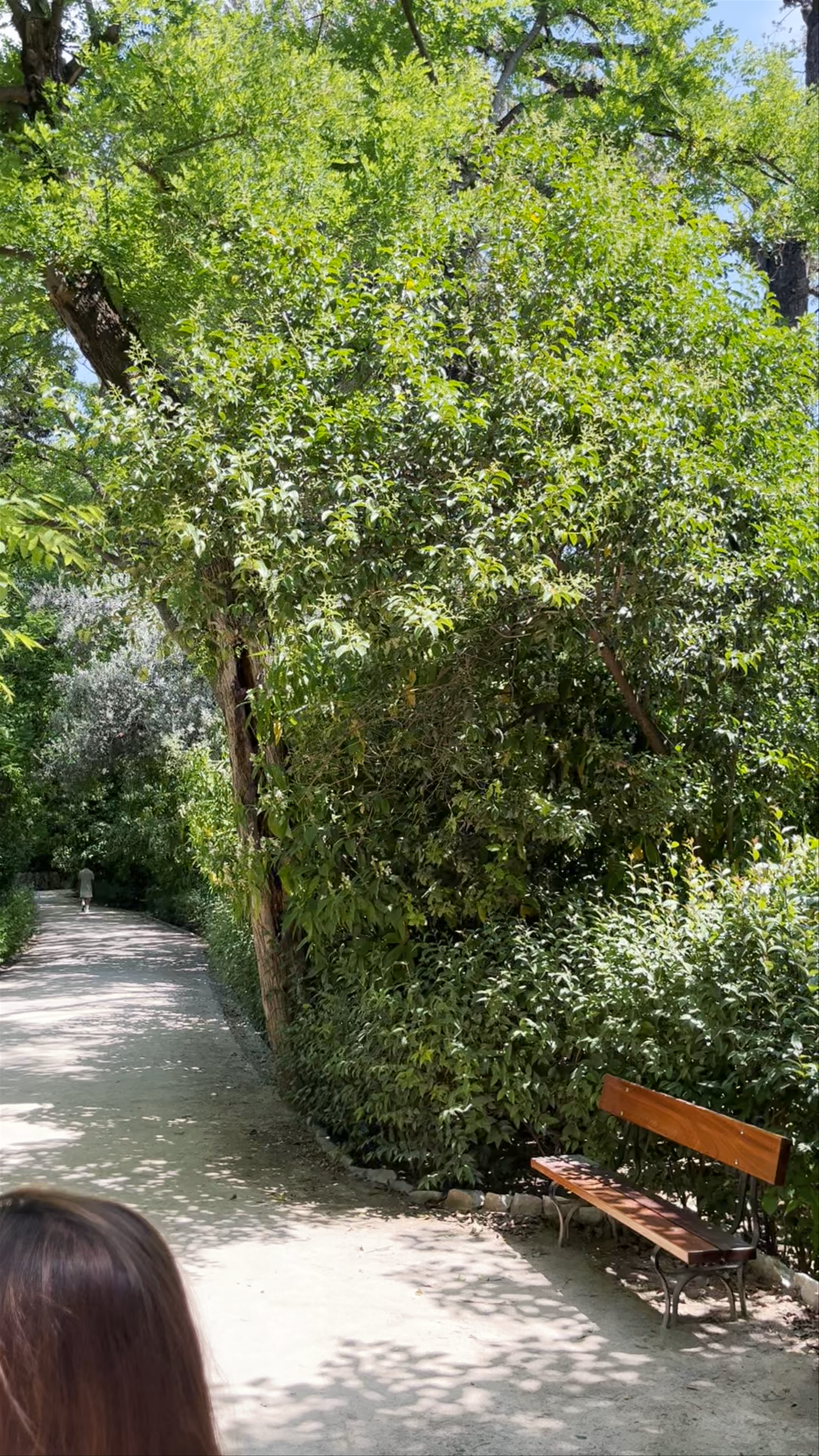 Serene Walk Through Jardín Nacional de Atenas