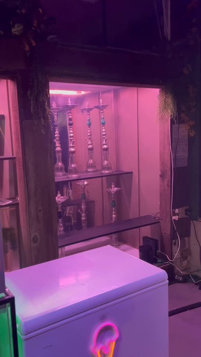 Hayati Hookah - Low key & chill - Hookah Bars Near Me - Berkeley, California
