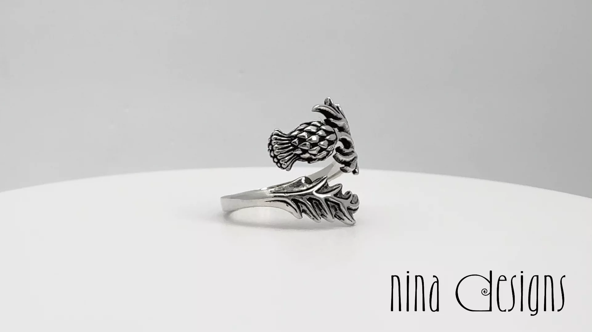 Preview image for video