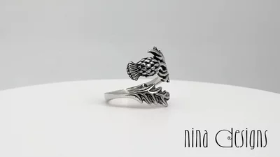 Preview image for video