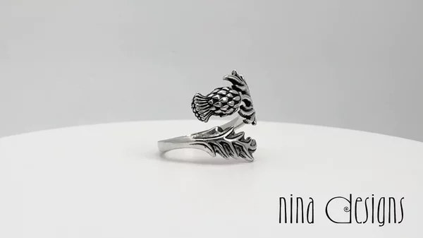 Preview image for video