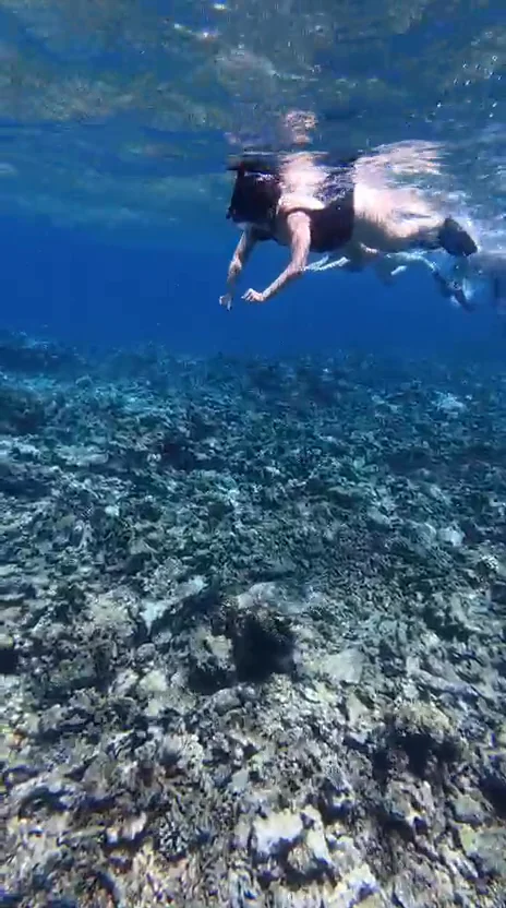 Video 12 · Martina · Maldivas Beach Life: relax, deportes acuáticos y baño con delfines