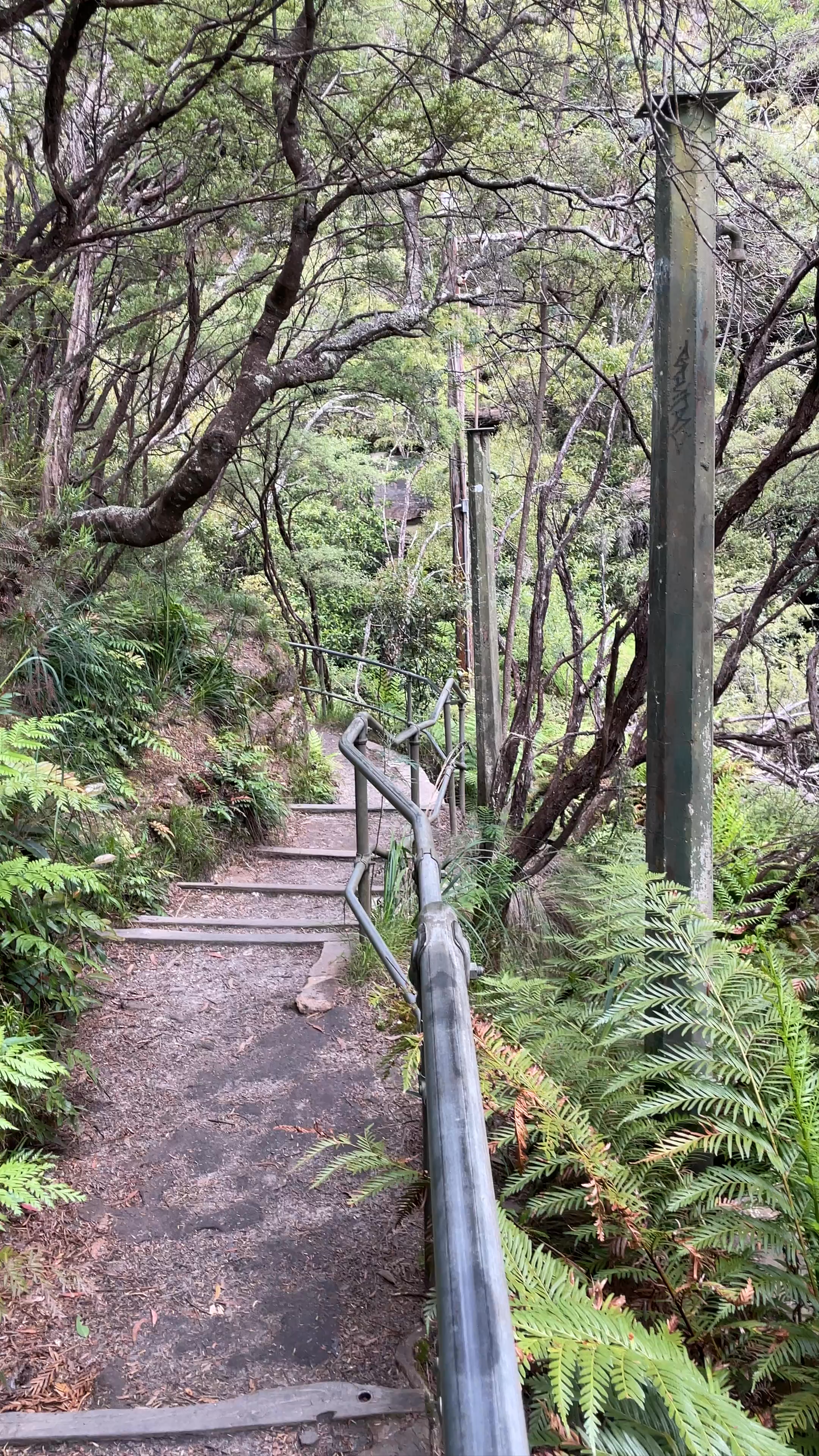 Leura Cascades Fern Bower Circuit