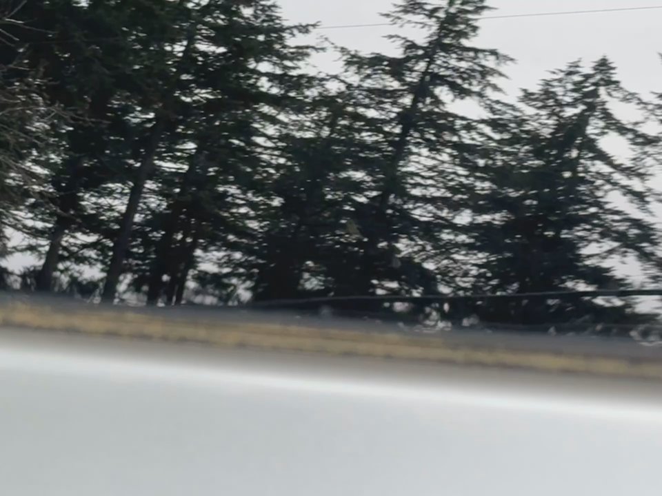 ZAG Motors - Salesman lying about having the car detailed - Used Car Dealers Near Me - Everett, Washington