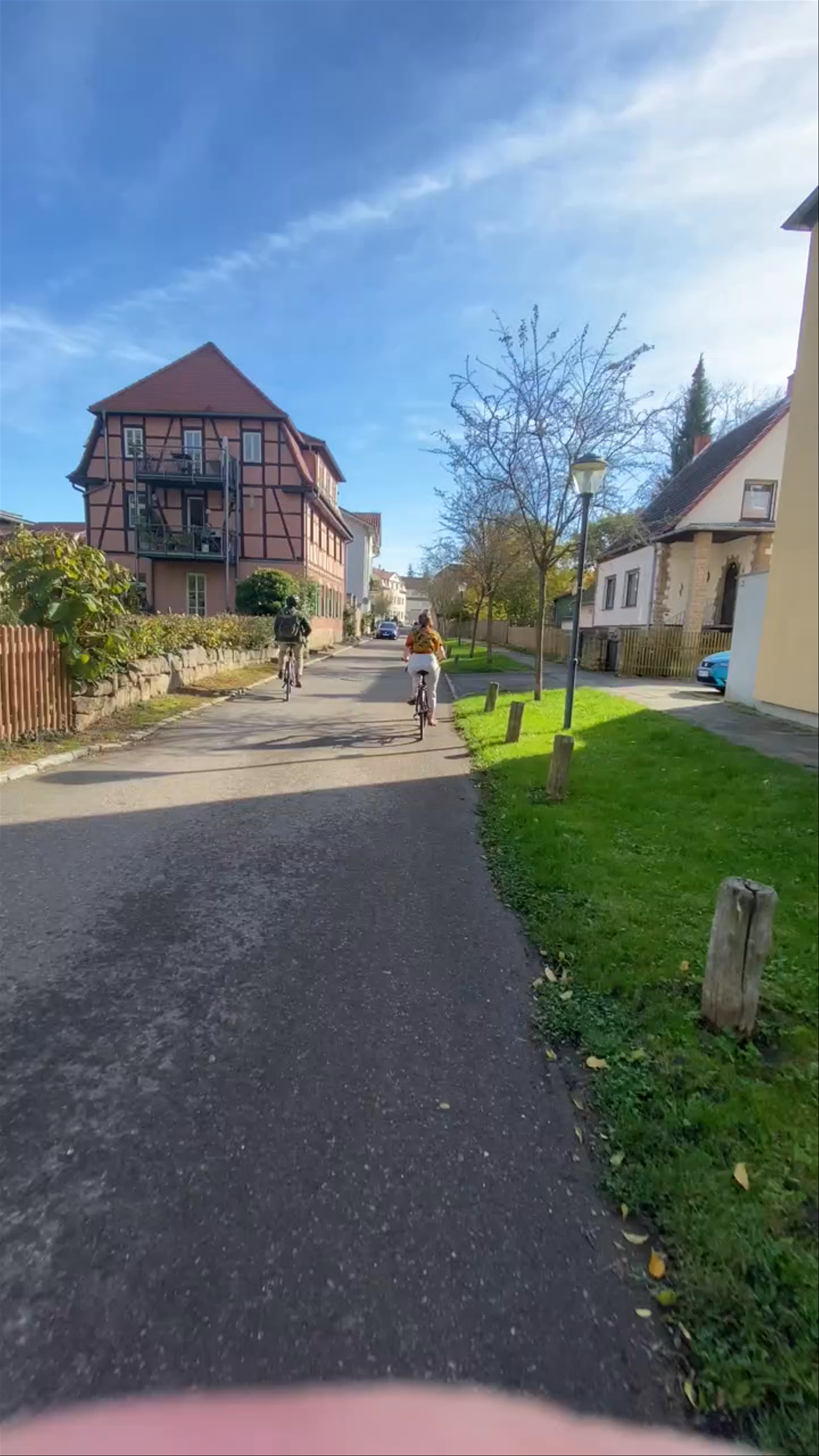 Schlosspark Belvedere