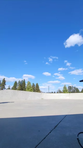 riu submission: Backflip