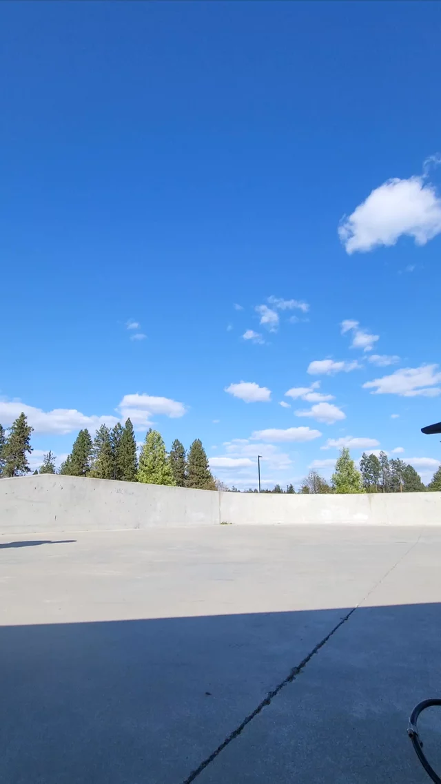 riu submission: Backflip