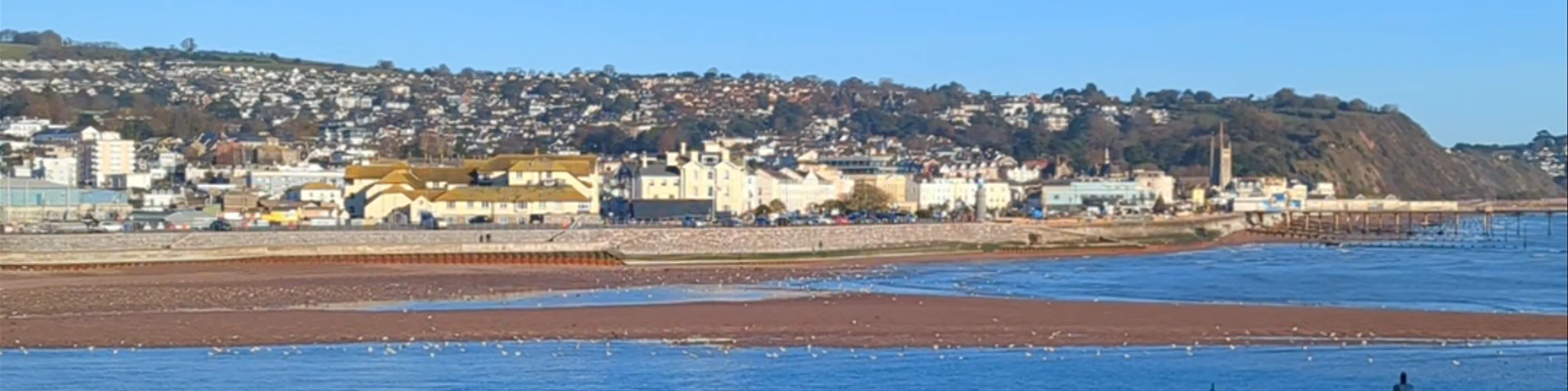 Ness cove beach
