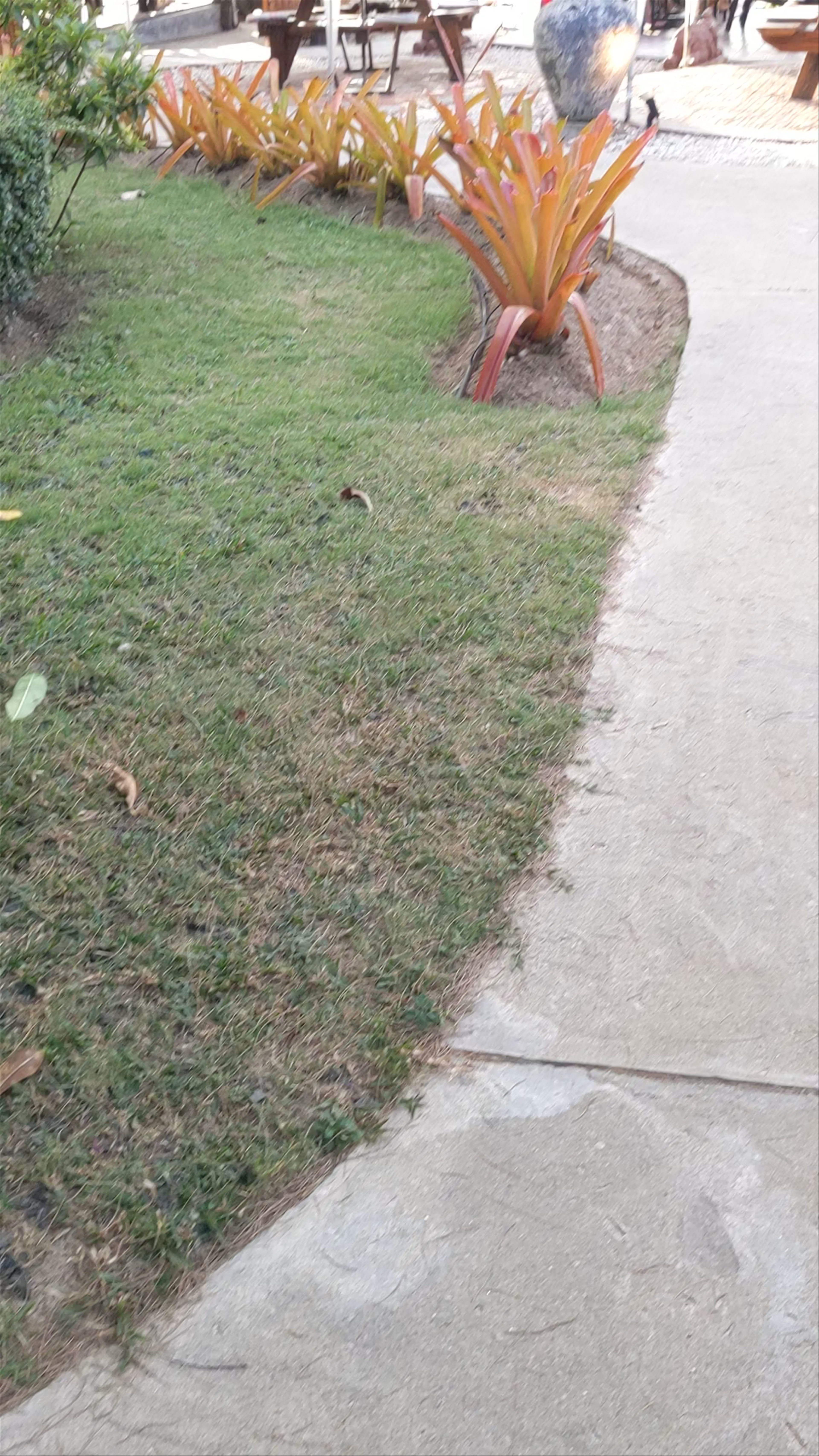 Coco Lanta Eco Resort