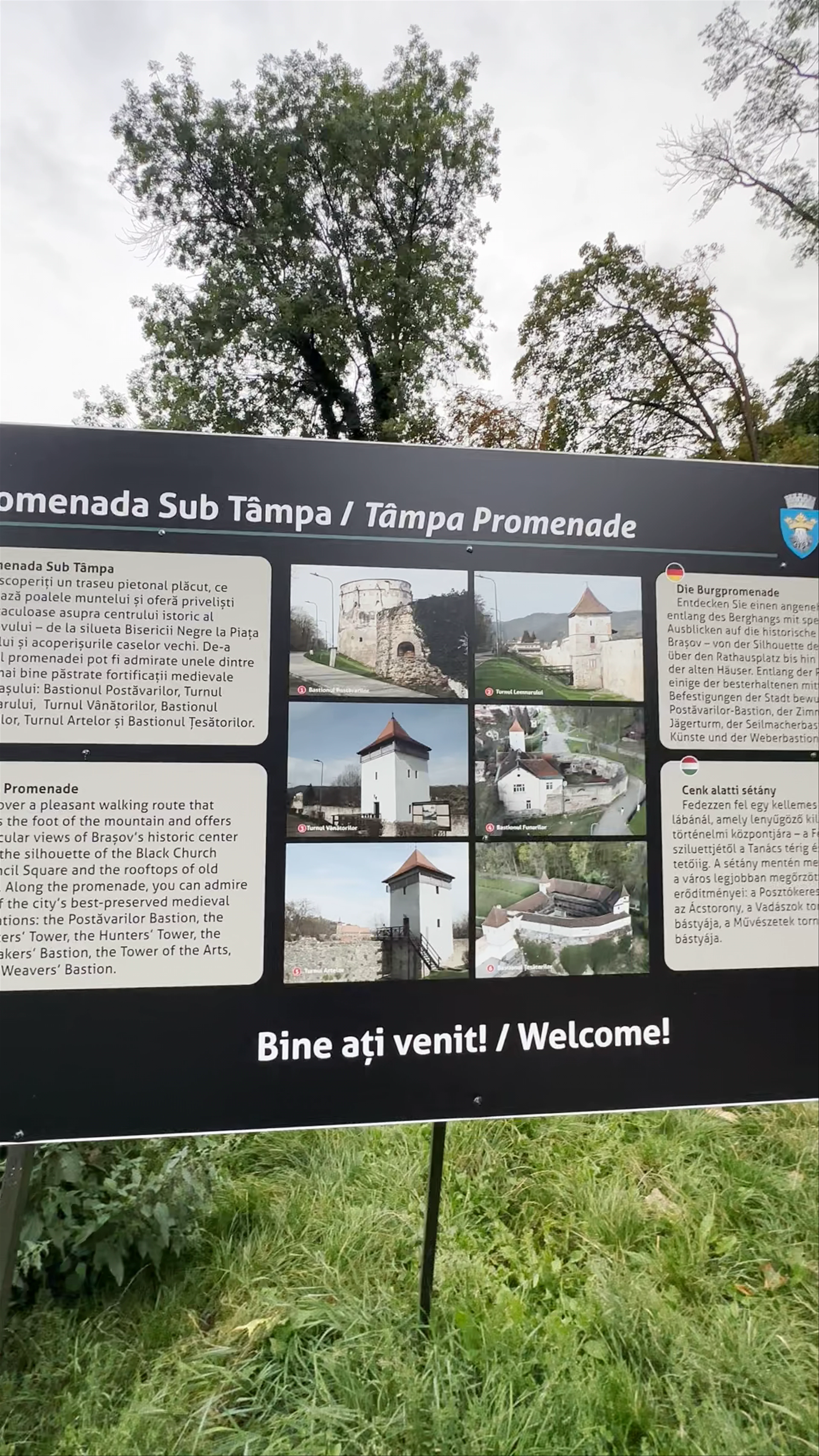 Promenada de sub Tâmpa, Aleea Tiberiu Brediceanu
