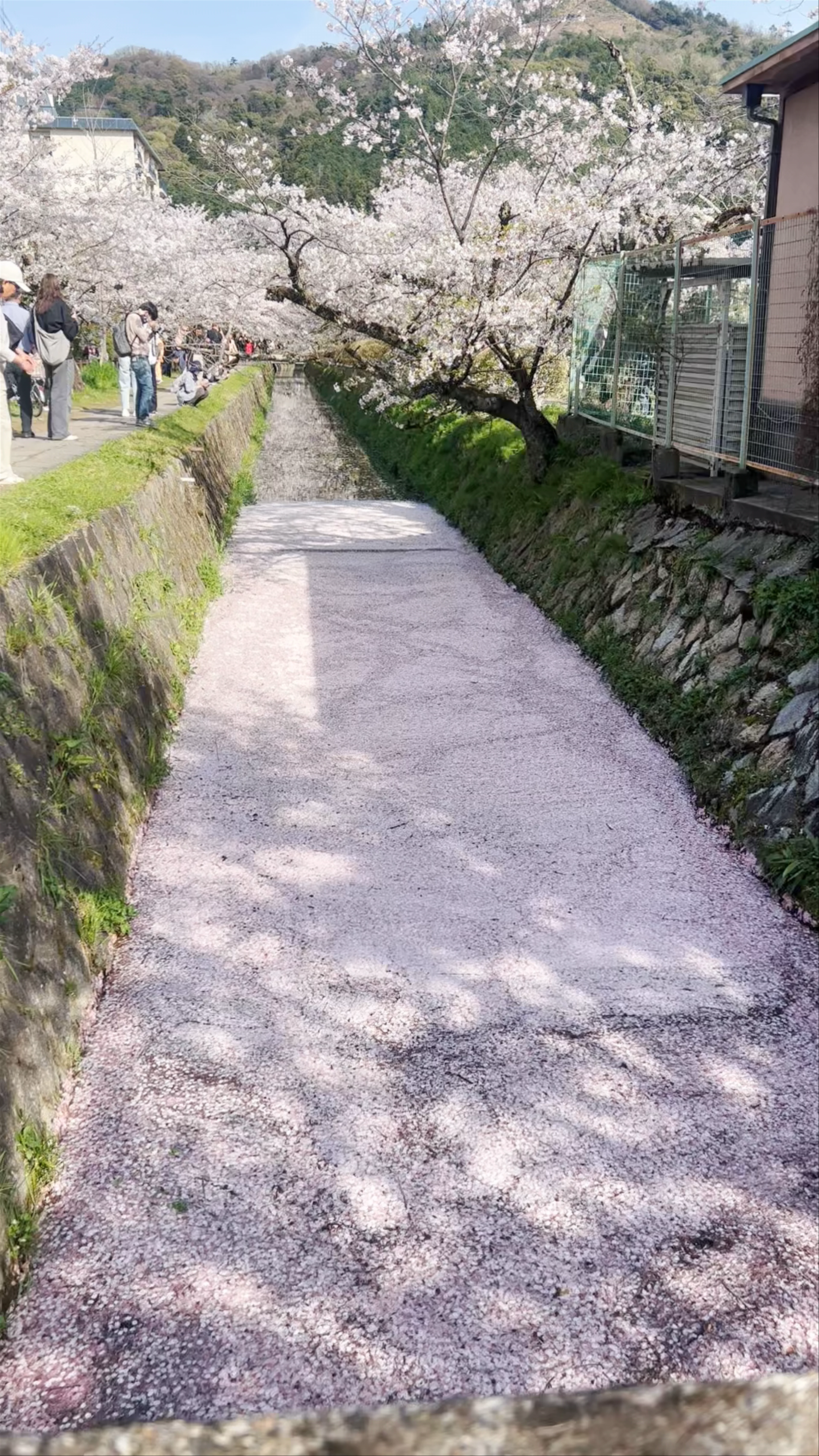 Philosopher's Path