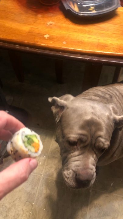 Drakes - My dog wouldn't eat it. She will eat anything - Sushi Bars Near Me - O'Fallon, Missouri