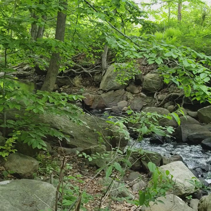 7 Lakes Drive - Hiking Near Me