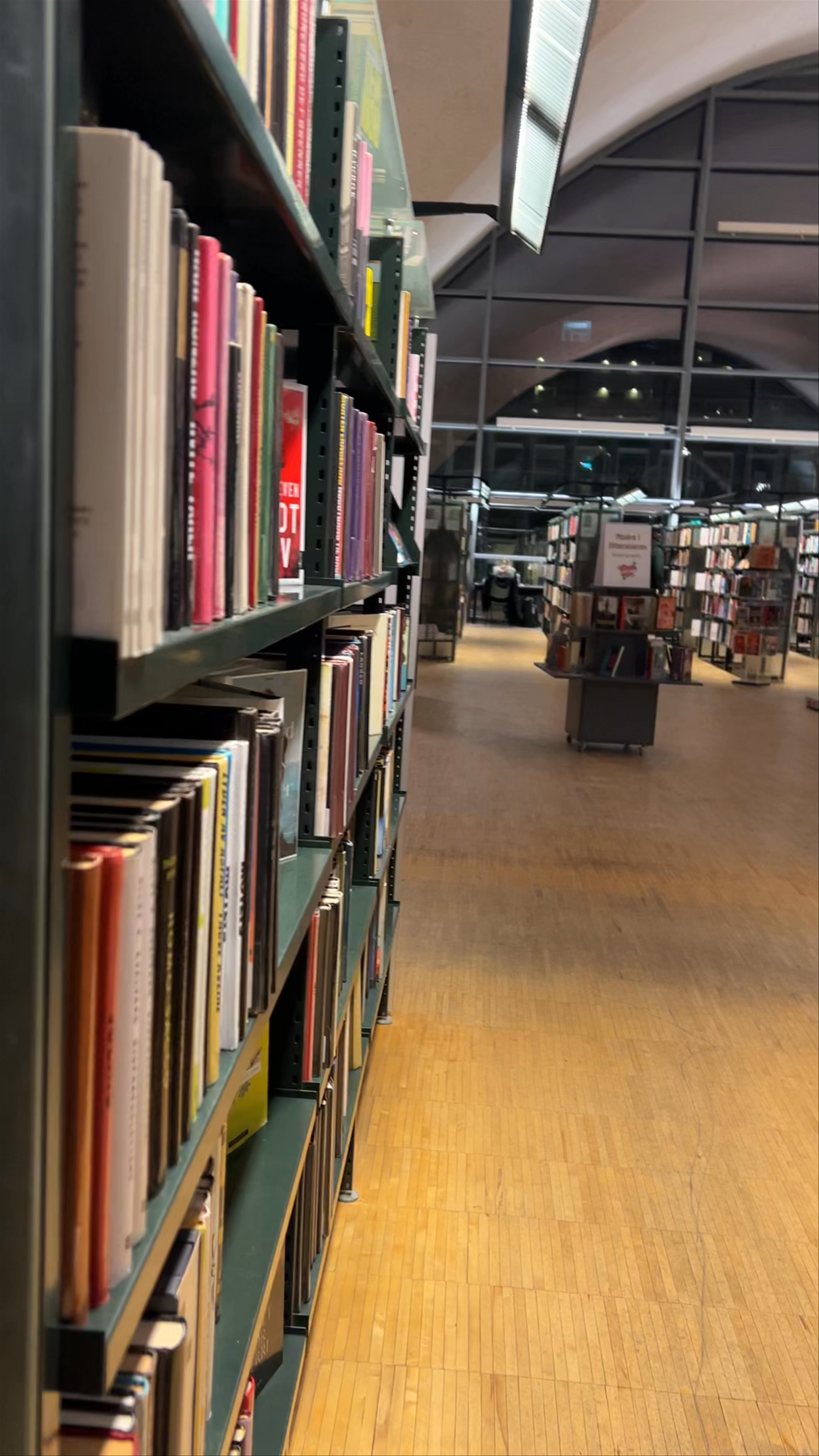 Tromsø Library and City Archives: A Serene Nordic Literary Sanctuary