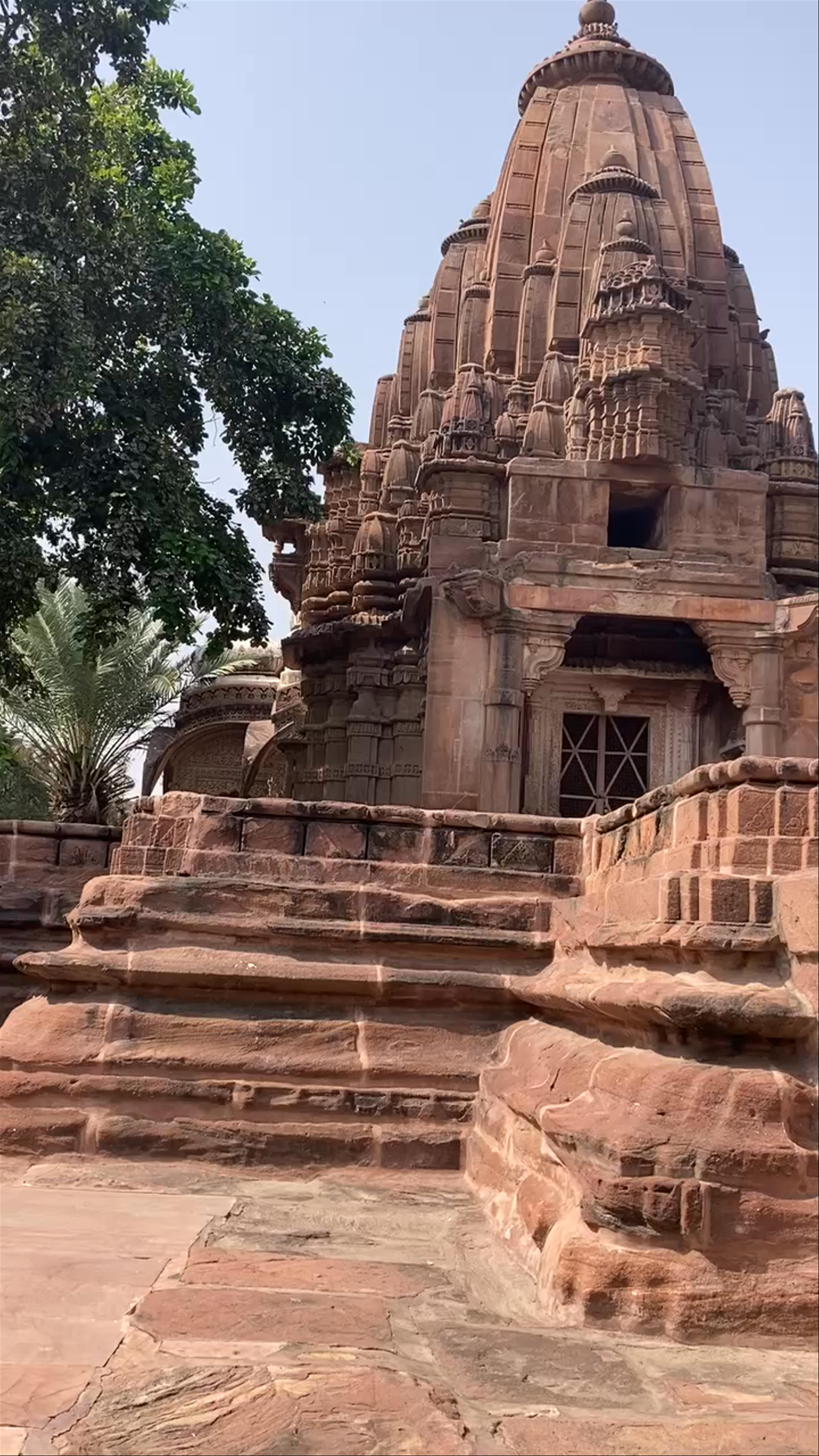 Royal Cenotaphs