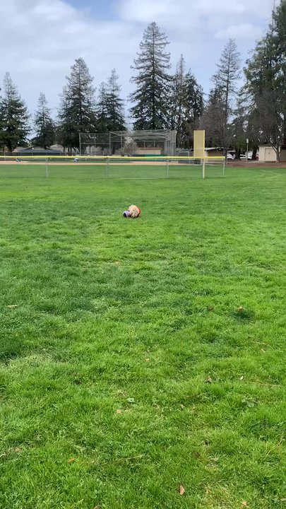 Serra Park - Parks Near Me - Sunnyvale, California
