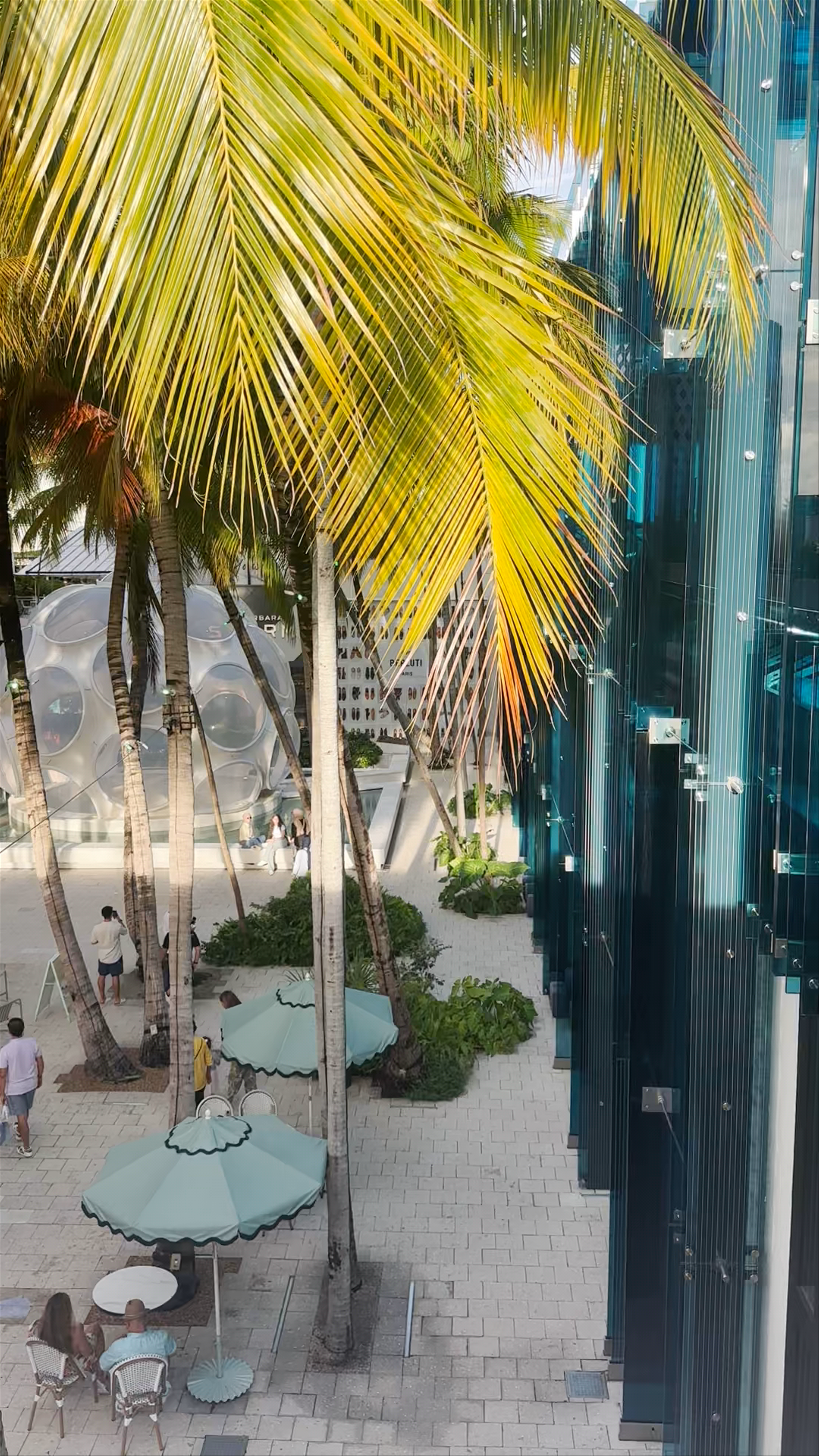 Miami Design District: Urban Oasis of Style and Palm-Lined Charm