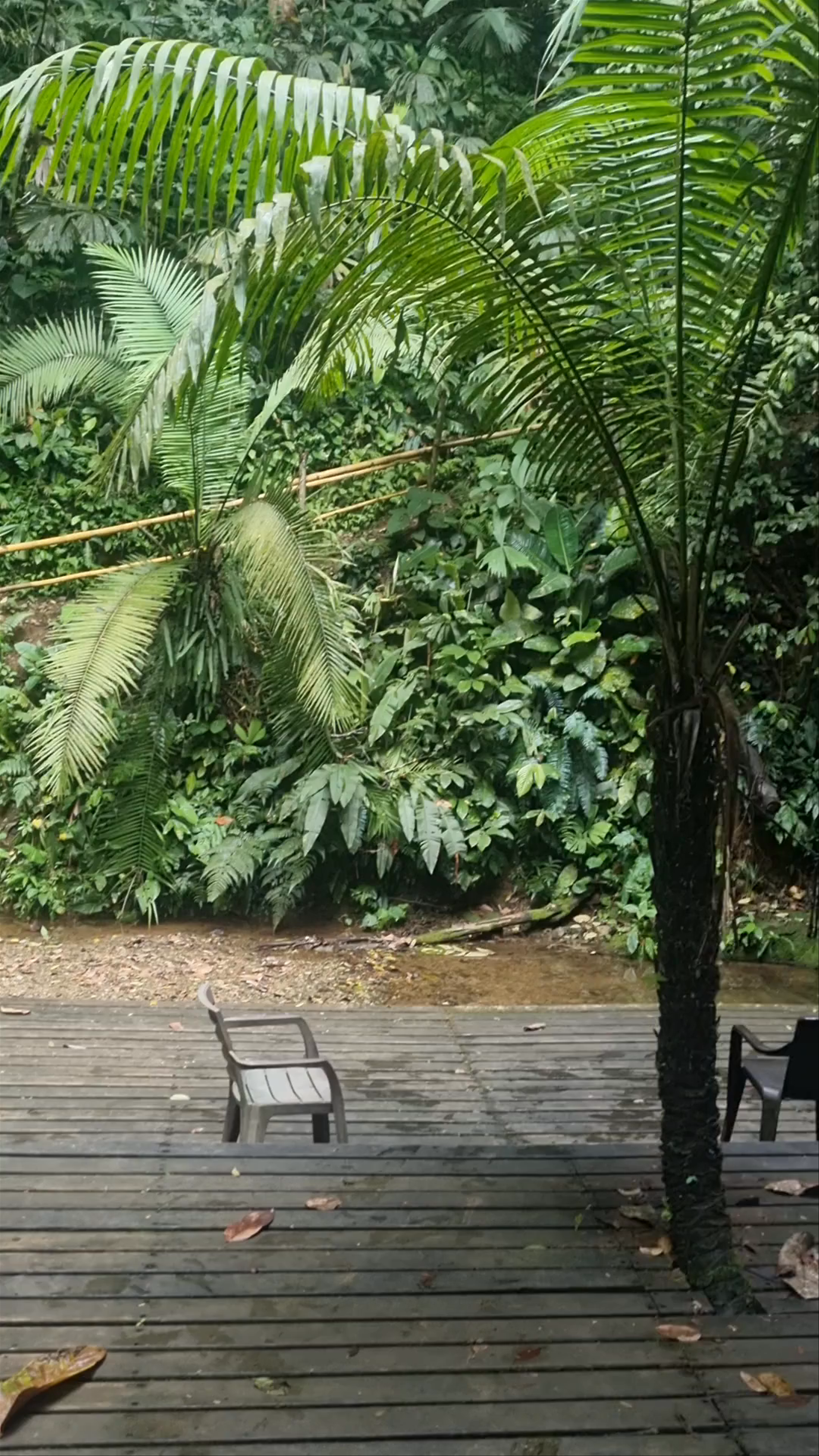 Reserva Natural El Cielo