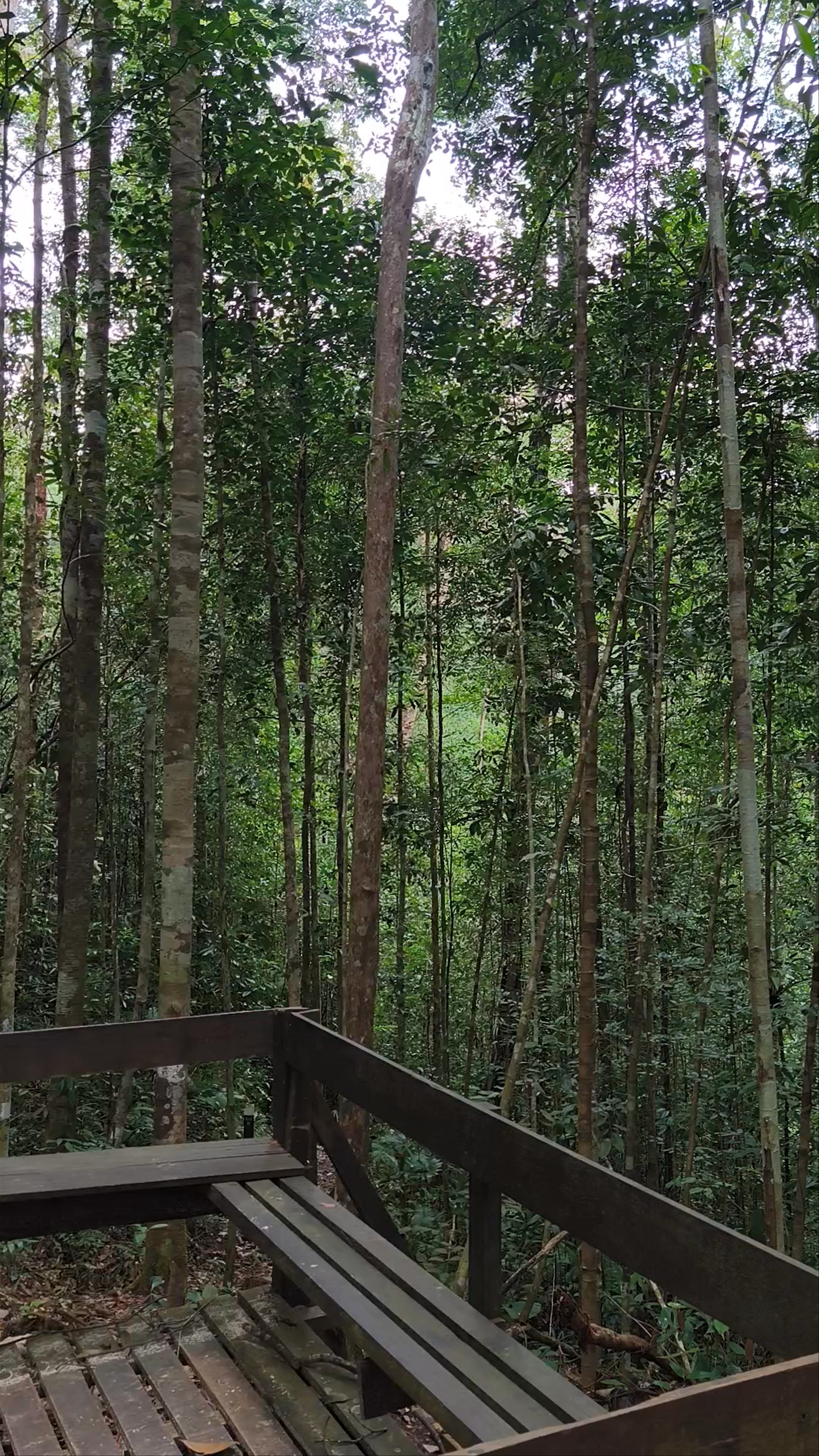 gunung serapi kuching