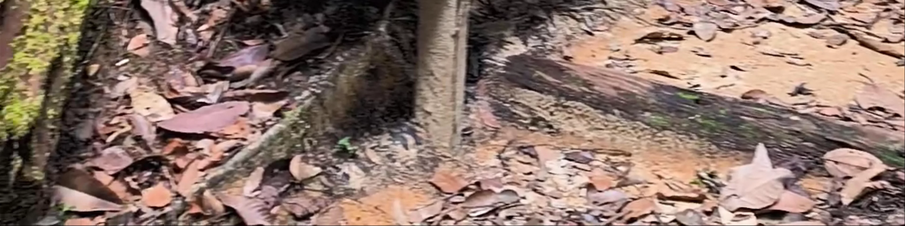 gunung serapi kuching