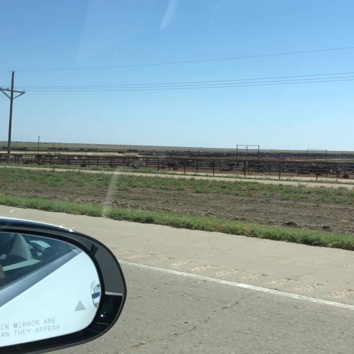 Quality Beef Producers - Serious smells even with the windows down. There's no social distancing between the cows - Livestock Feed & Supply Near Me - Wildorado, Texas