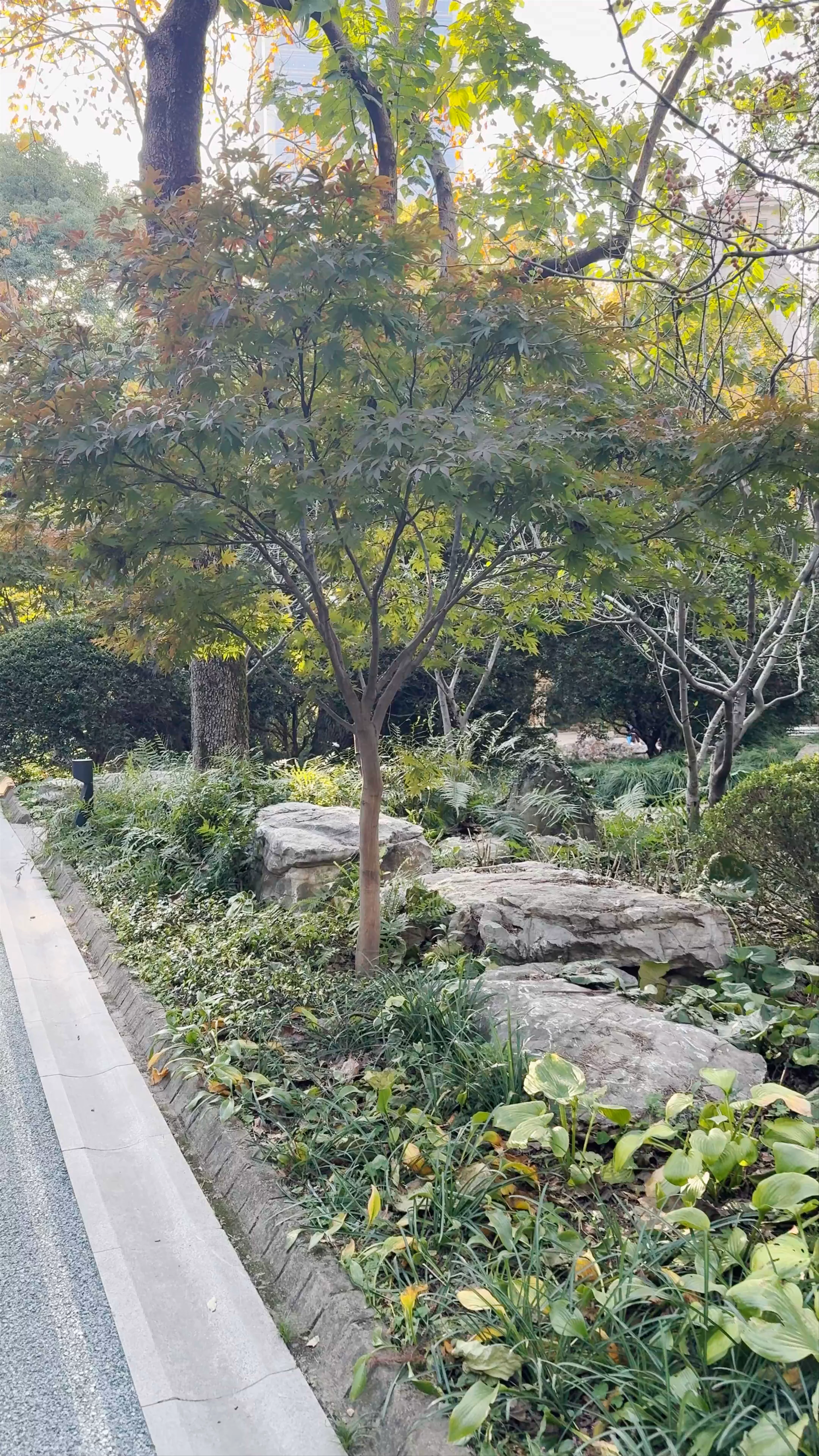 People's Park, Nanjing Road (W), People's Square, Huangpu