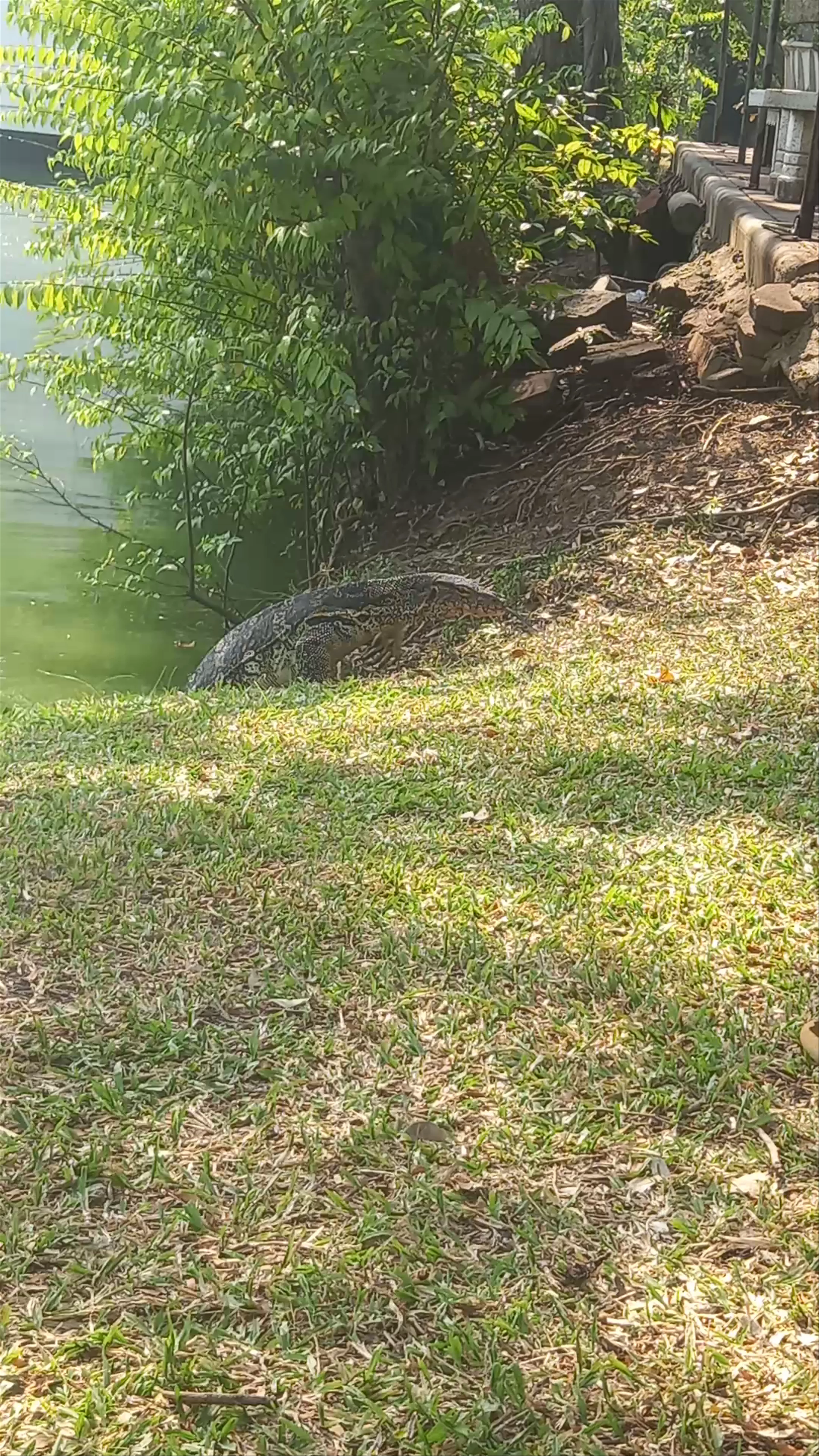 Parc Lumpini