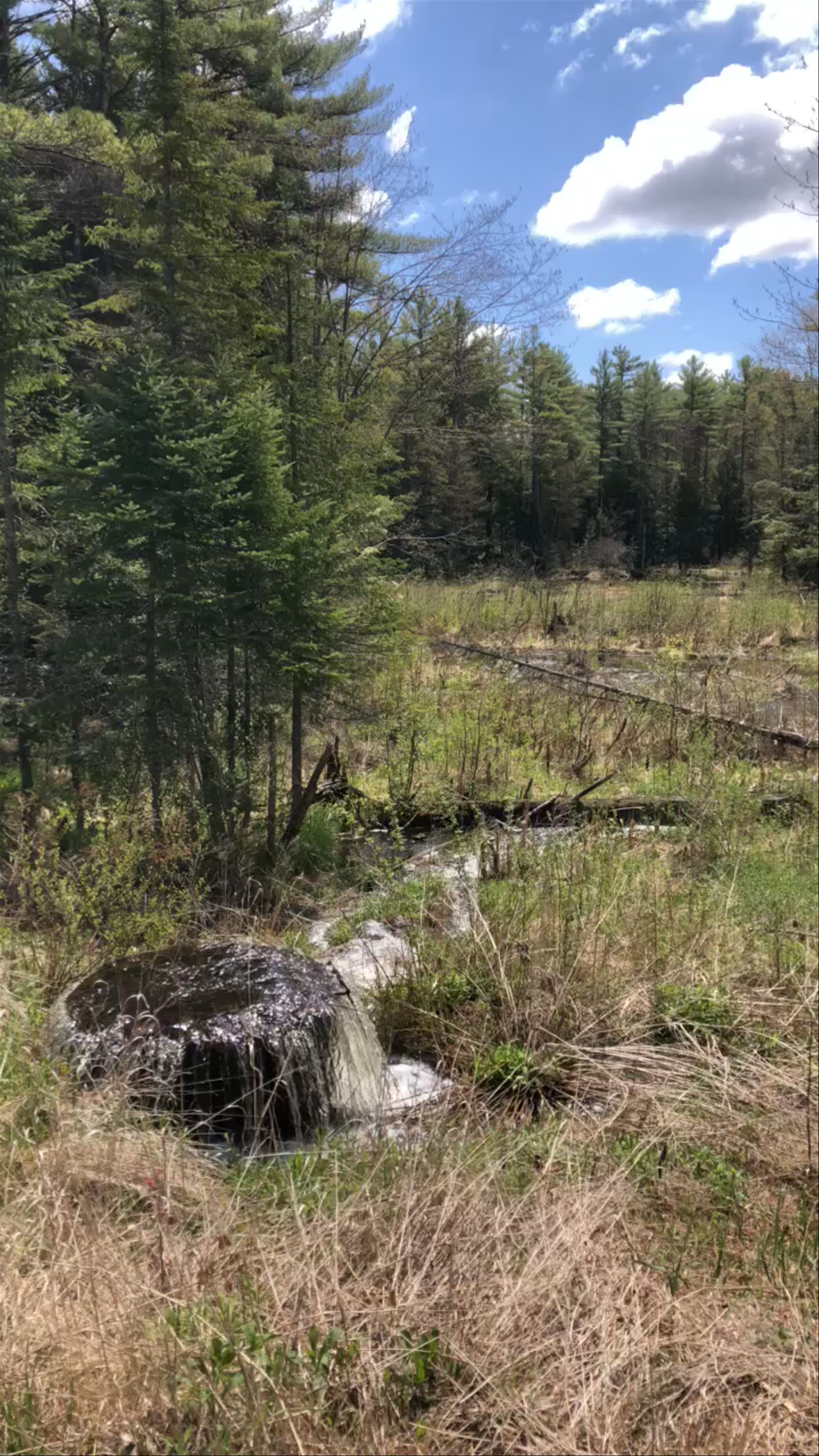 Tioga River Reservoir