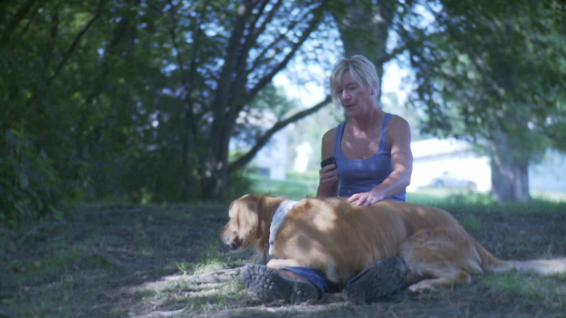 Individuals conduct separate phone conversations in office and domestic settings before the focus shifts to a woman spending time with a golden retriever in a park.
