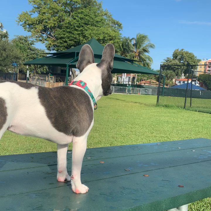 Douglas Park - Park benches - Parks Near Me - Miami, Florida