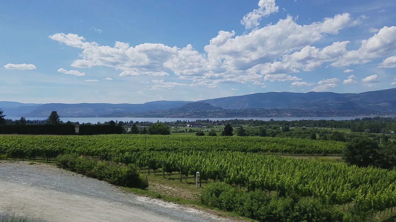 Tantalus Vineyards - Wineries Near Me - Kelowna, British Columbia