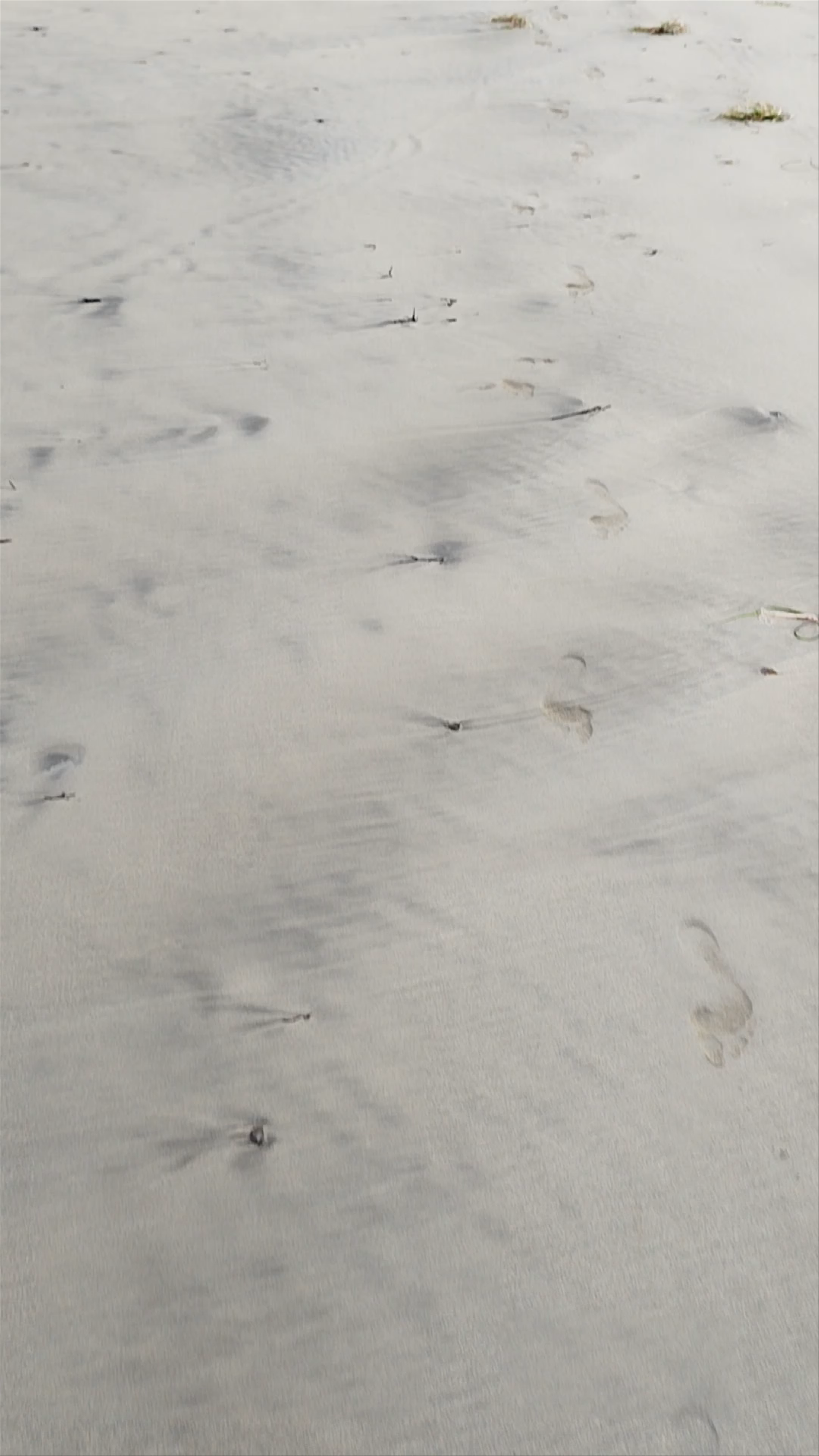 Dunas de Famara