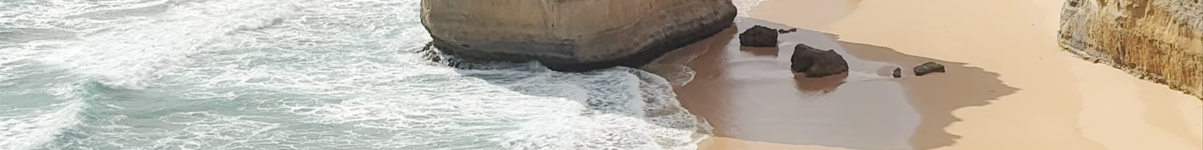 Tours & experiences in Port Campbell