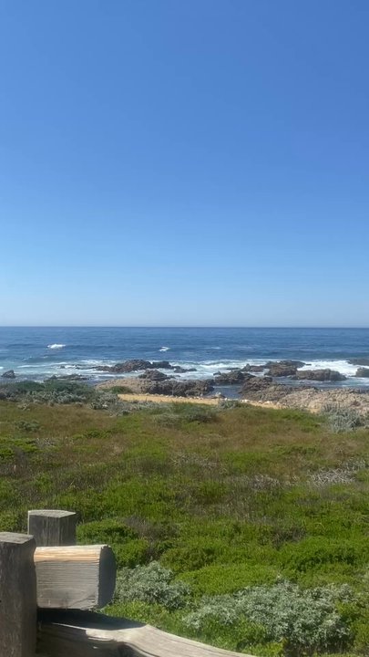 Asilomar State Beach - Probably one of the most stunning coastlines in the world. - Parks Near Me - Pacific Grove, California