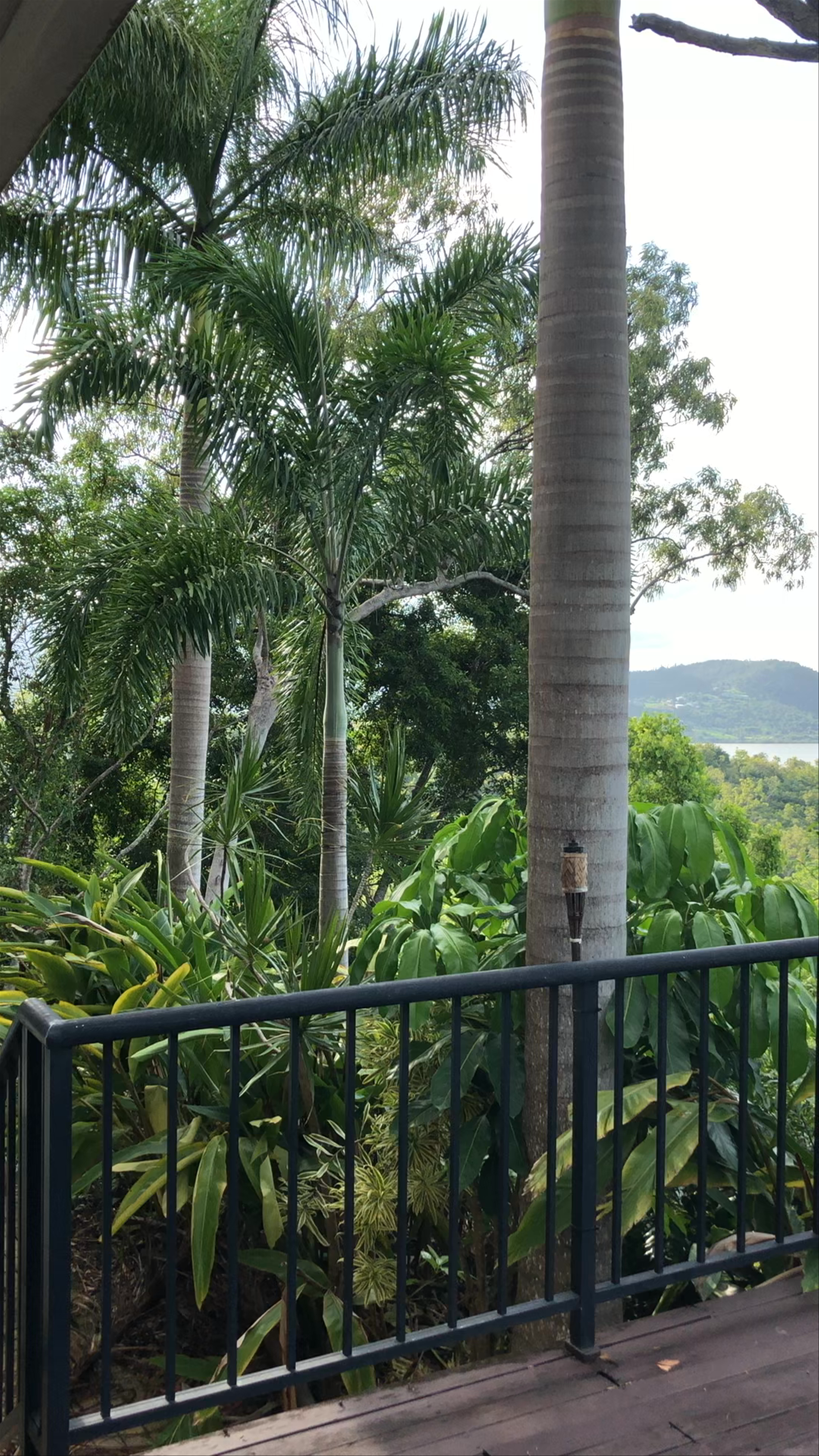 Whitsundays Rainforest Retreat