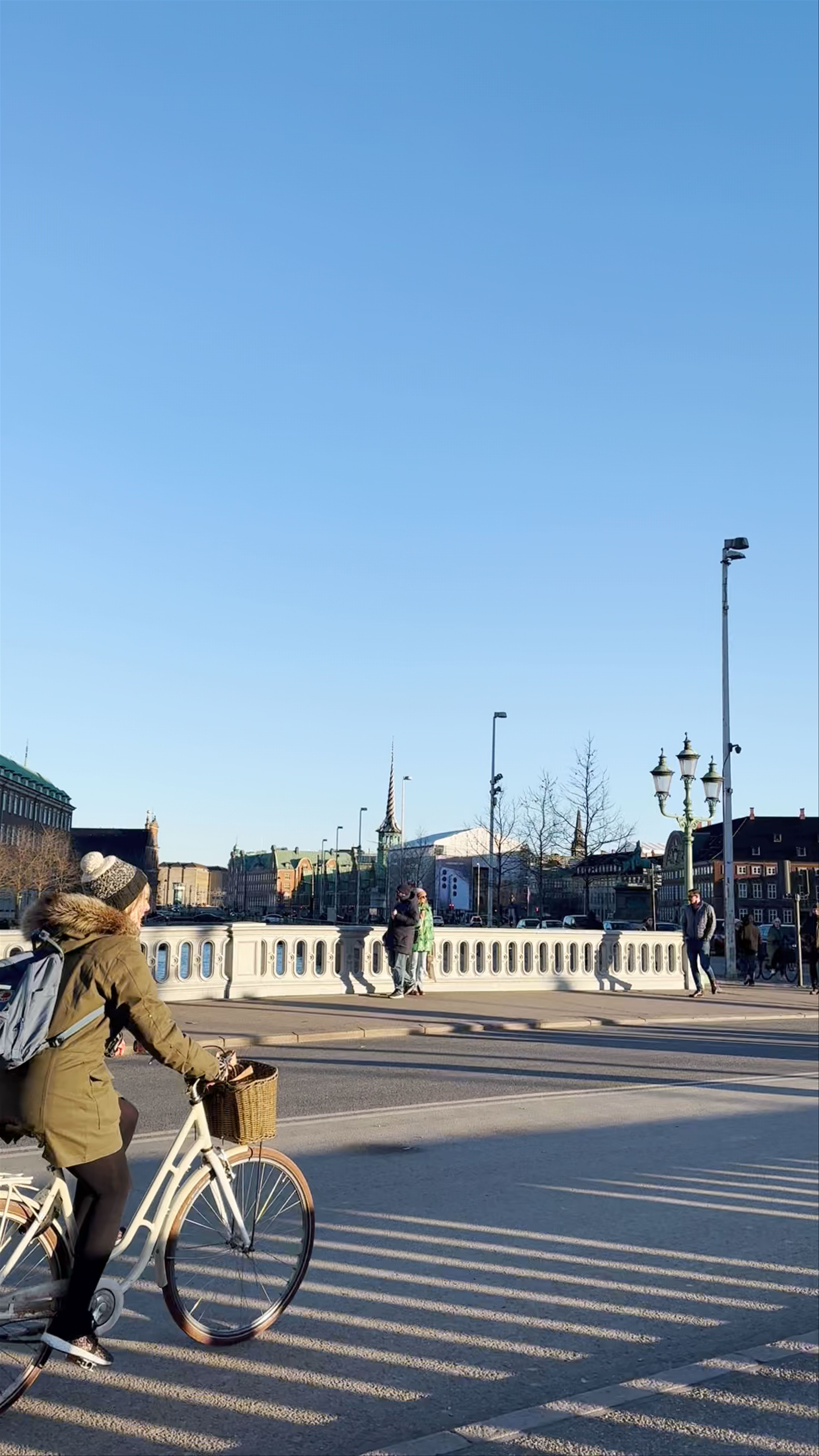 Indre By Lokaludvalg