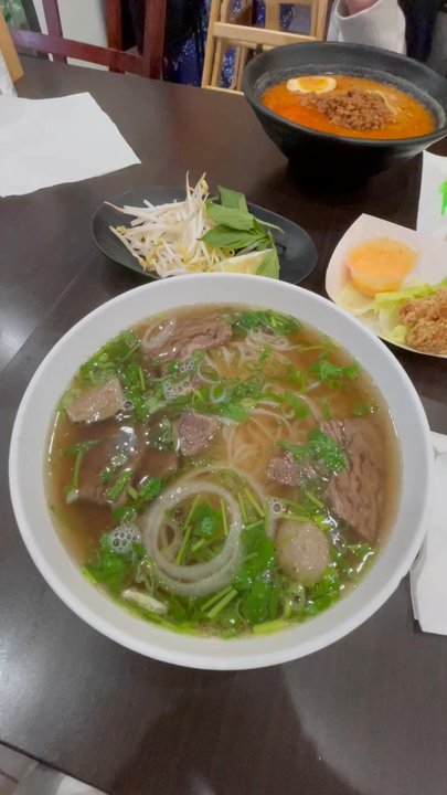 Meet Noodle - Noodles Near Me - Stony Brook, New York