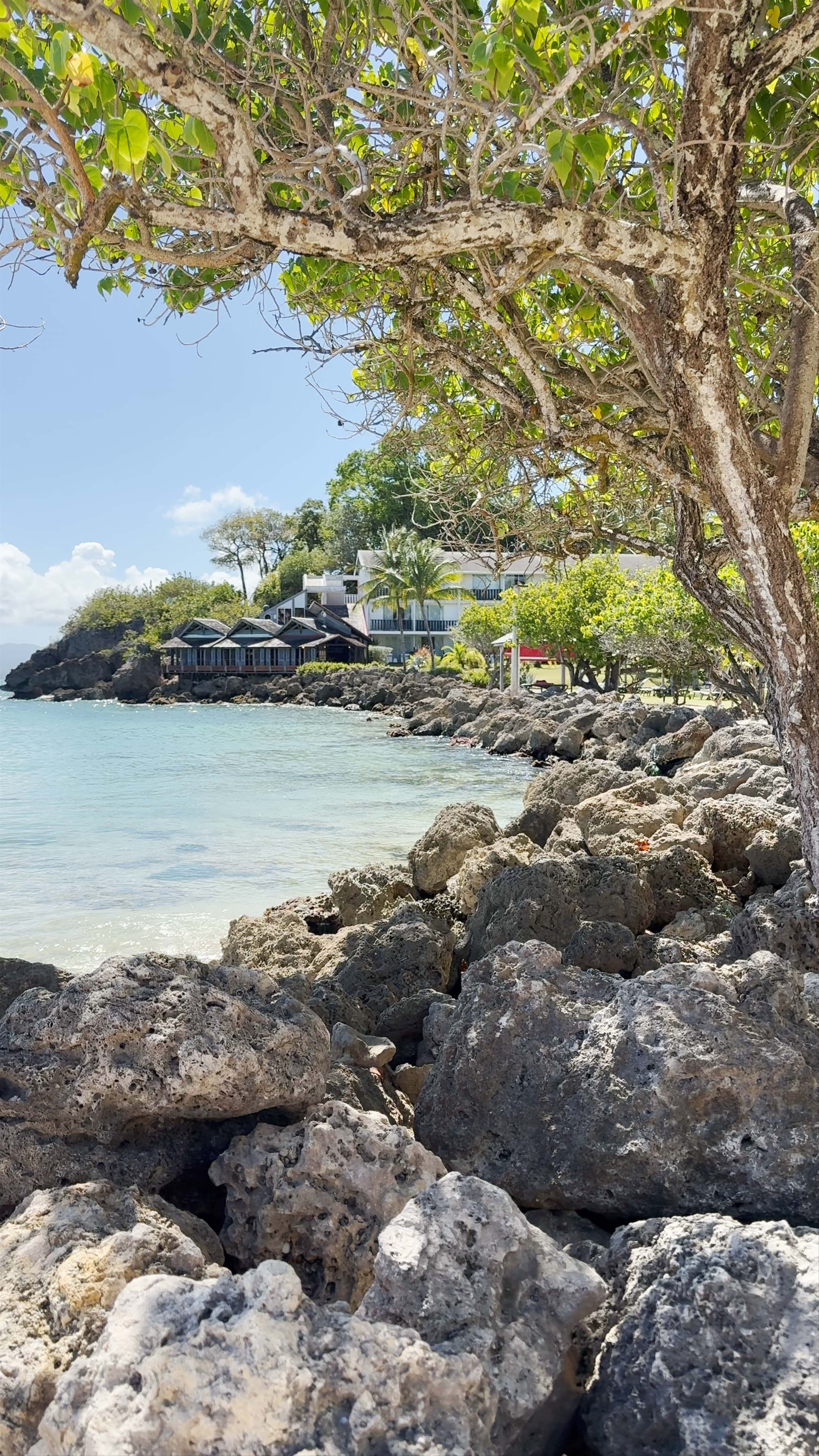 La Creole Beach Hotel & Spa