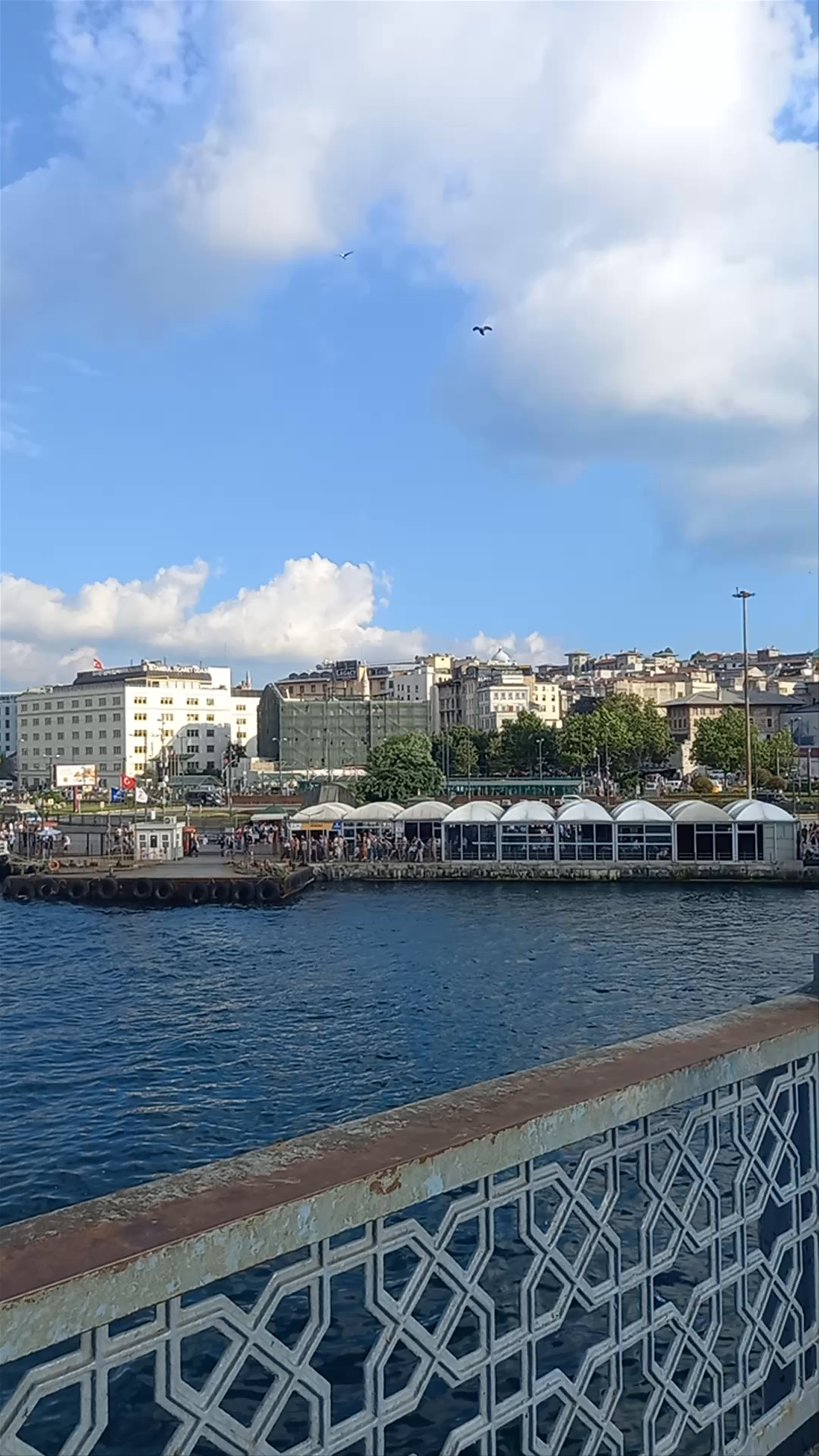 Strolling Across Galata Bridge with Views of İstanbul's Historic Skyline
