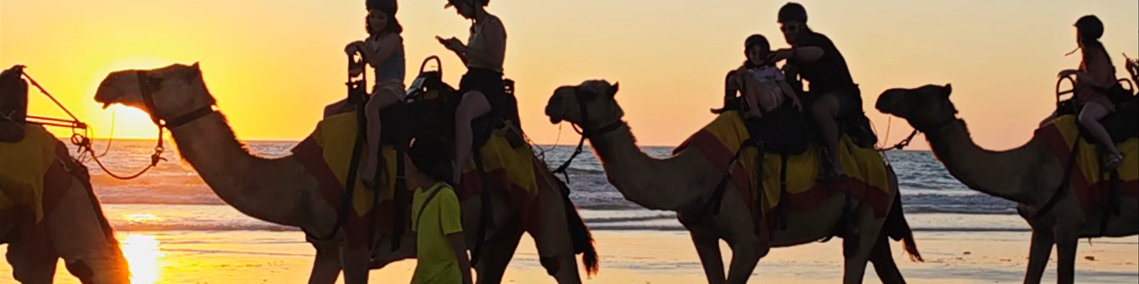 Cable Beach Camels - Camel Rides