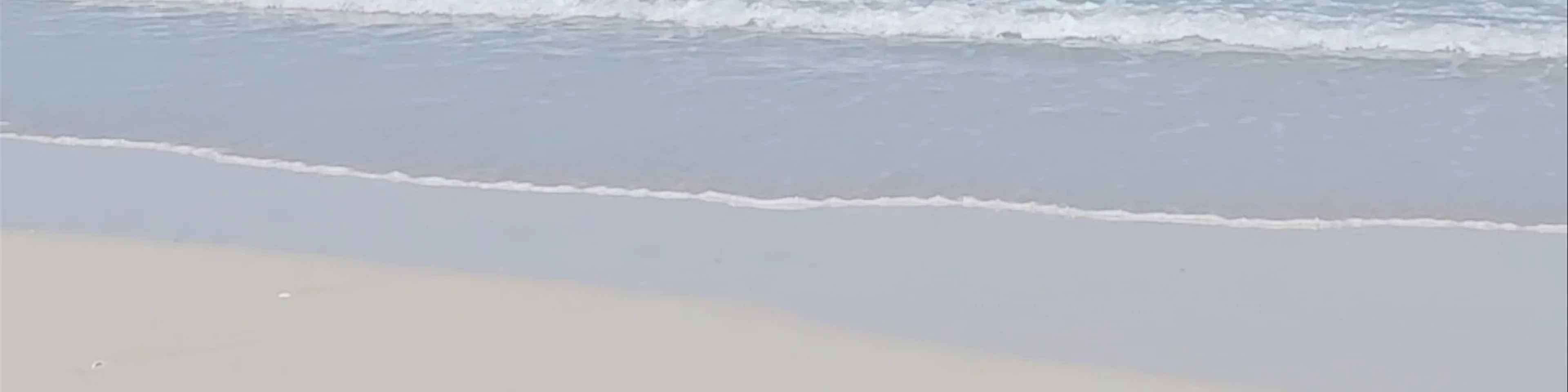 Coconut Well