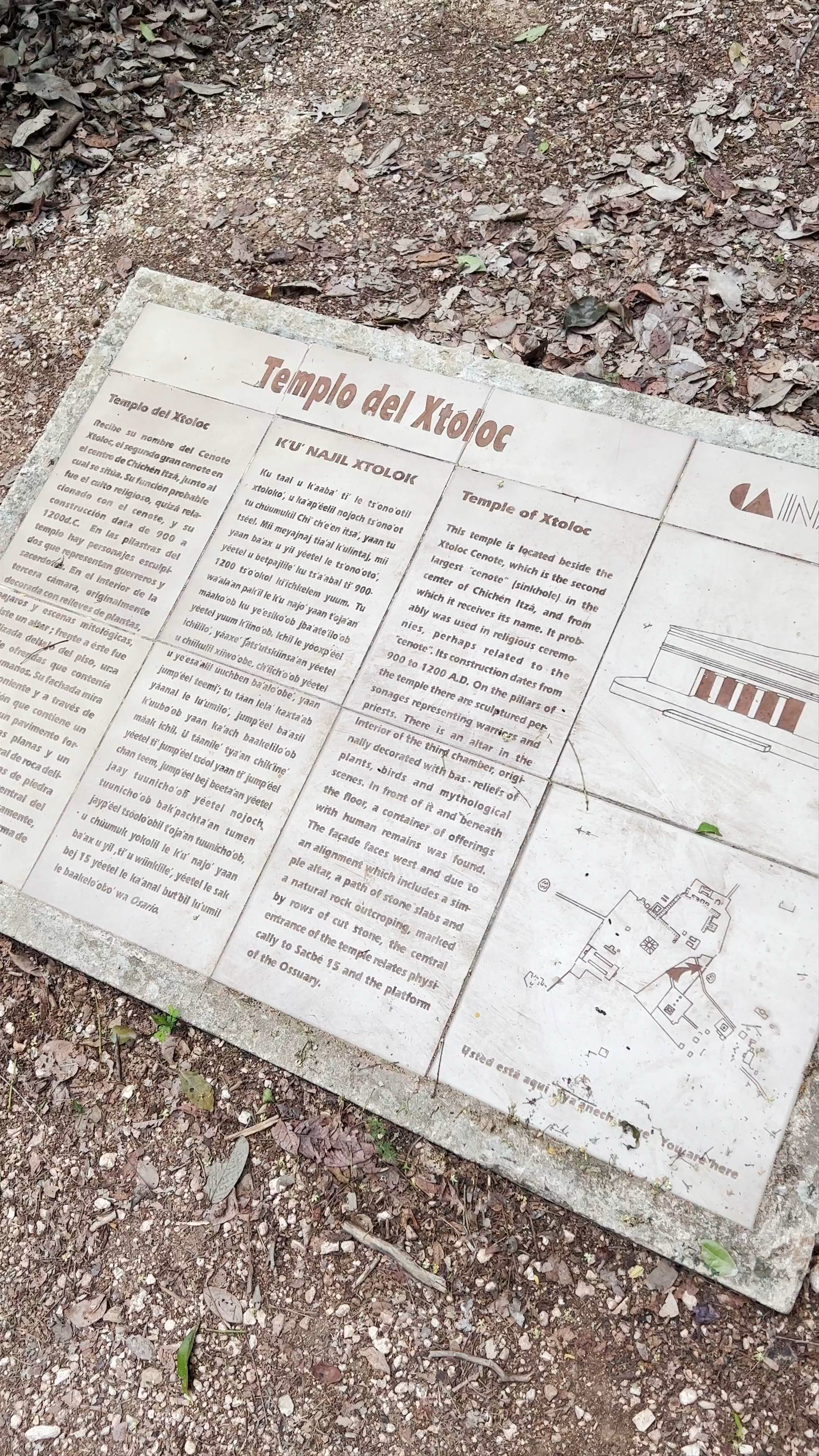 Cenote Xtoloc