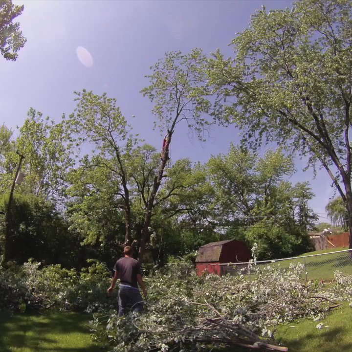 Ryan's Tree Care - Tree Removal - Tree Services Near Me