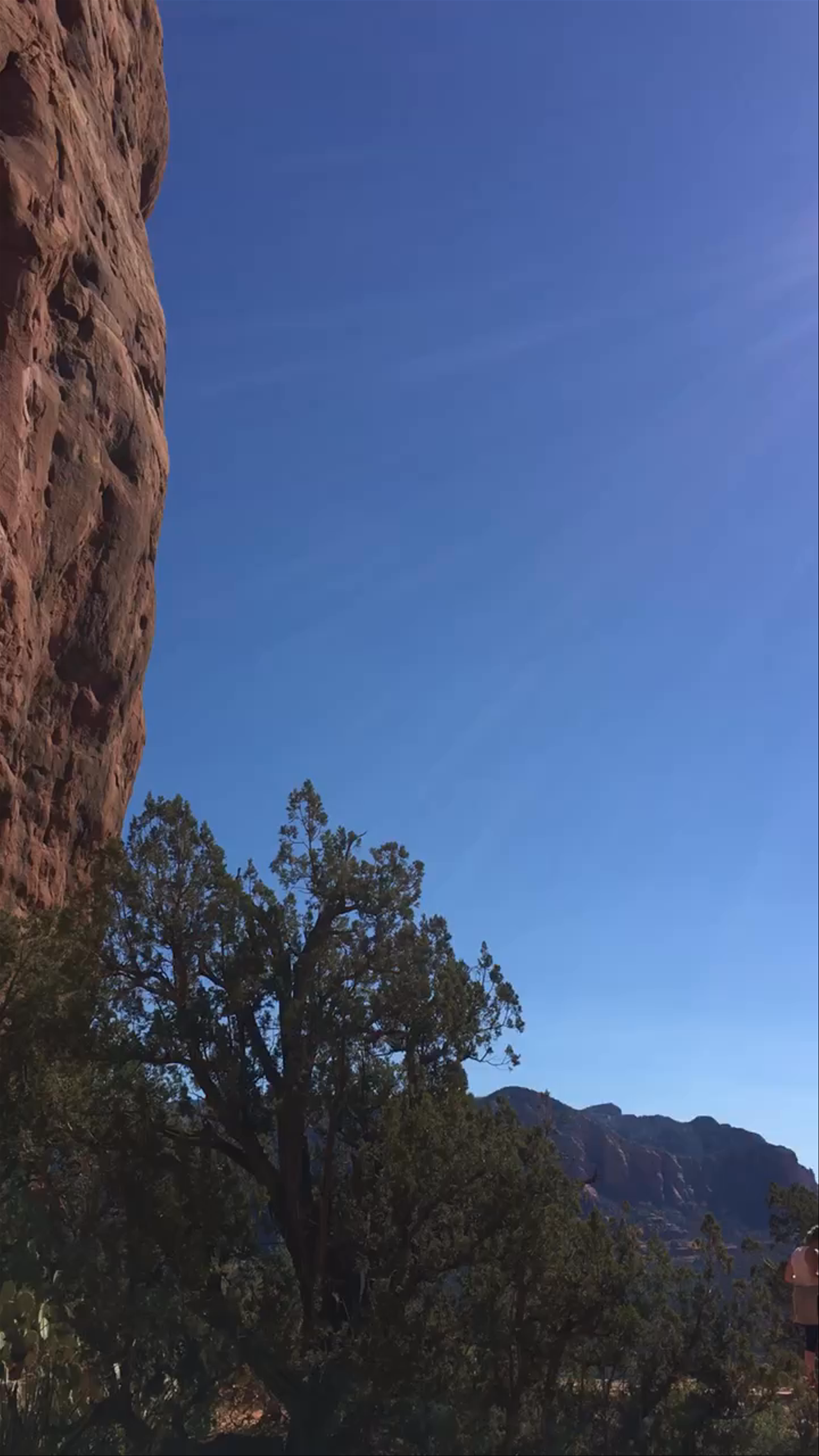 Cathedral Rock Trail Sedona AZ