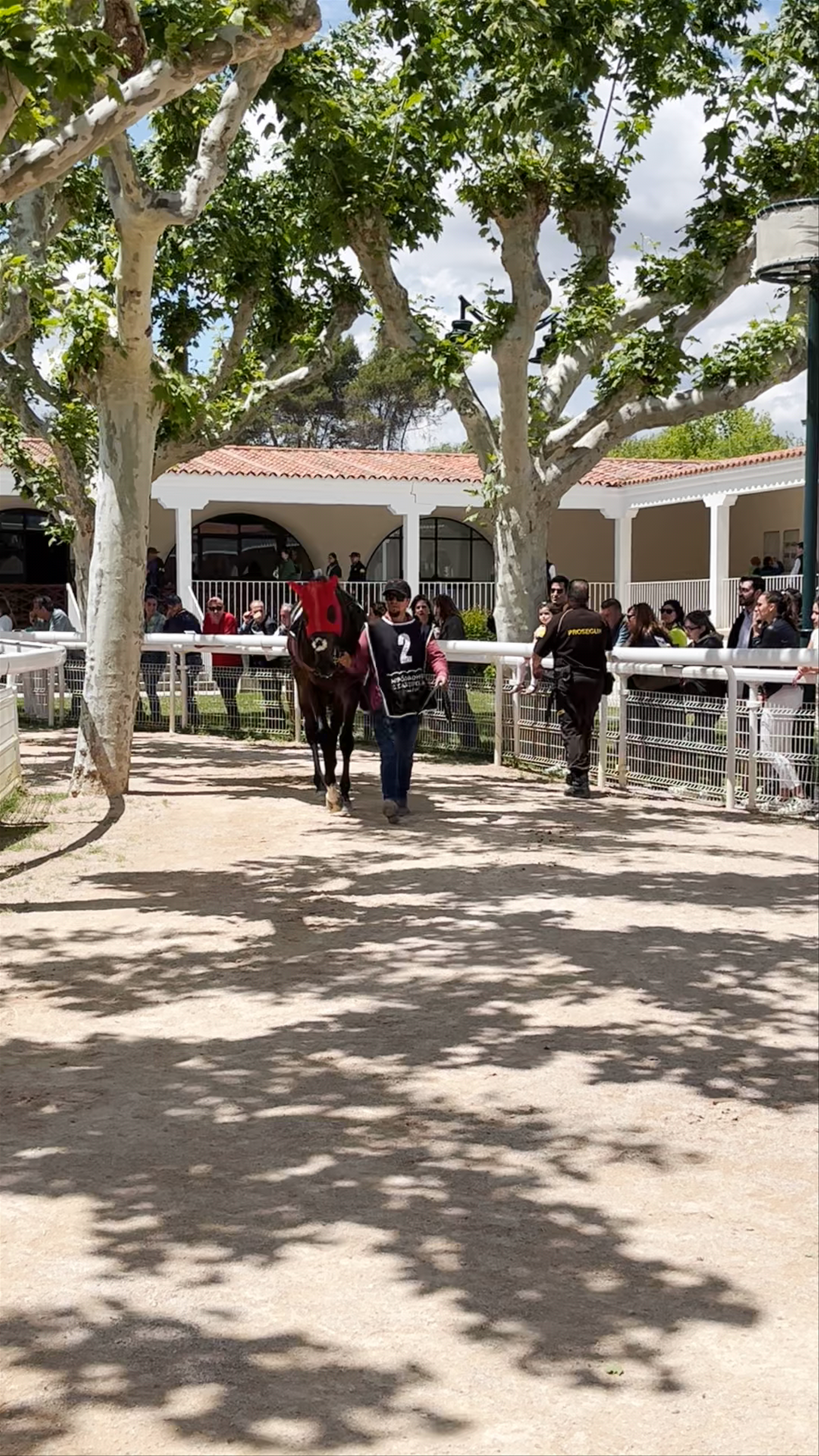 Exciting Day at Hipódromo de la Zarzuela Horse Races, Madrid