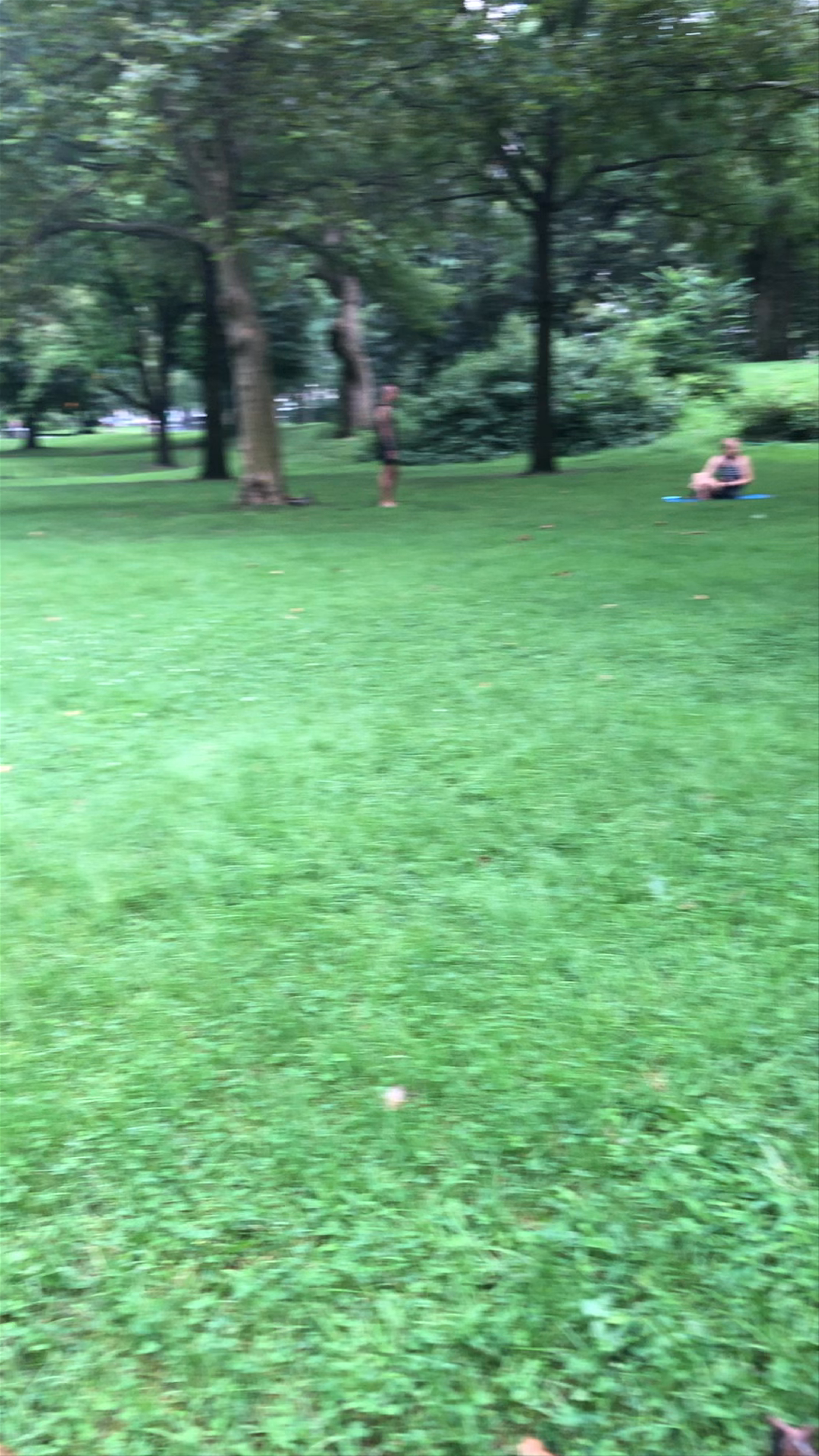 Central Park